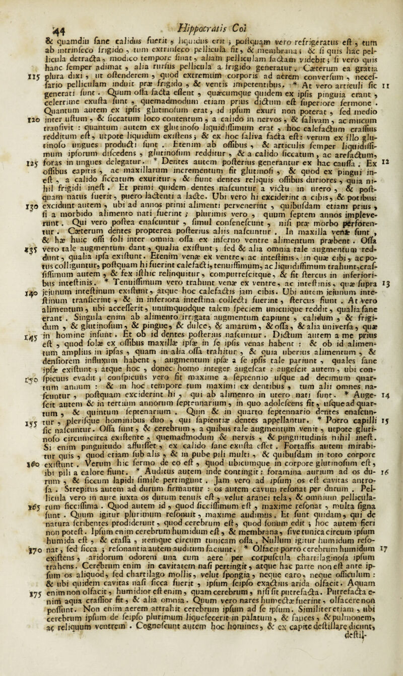 & quamdiu fane calidus fuerit , liquidus erit -9 poftquam veto refrigeratus eft , tum ab intrinfeco frigido, tum cxmnicco pellicula fir, & membrana» Si (i quis hac pel¬ licula detracta, modico tempore finac, aJiam peiheuiam fedfcam videbit i fi vero quis hanc femper adimat , aJia rurfus pellicula a frigido generatur. Ca?terum ea gratia II5T plura dixi , ut offenderem , quod extremum corporis ad aerem converfum , necef- lario pelliculam induit pra? frigido , & ventis impetentibus, * At vero articuli fic 11 generati funt . Quum offa fadta effent , quacumque quidem ex ipfis pinguia erant , celerrime exuffa funt , quemadmodum etiam prius didmn eft fiipenore fermone . Quantum aurem ex ipfis glntmofum erat, id ipfum exuri non poterat , fed medio 120 inter uffum , & ficcatum loco contentum , a calido 111 nervos, & falivam, ac mucum tranfivit : euan tum autem ex glunnofo liqiiidifTimum erat , hoc calefadhim craftius redditum eft, utpote liquidum exiftensj & ex hoc faliva fadta eft: verum ex illo glu- rinofo ungues produdi funt . Htemm ab oftibus , & articulis femper iiqindilfi- muni ipforum difcedens , giutinofum redditur, & a calido ficcatum, ac arefadtum, I25 foras in ungues delegatur. * Dentes autem pofterius generantur ex hac caufta . Ex 12 oftibus capitis , ac maxillarum incrementum fit glutmoli , & quod ex pingui in- eft , a calido ficcatum exuritur , & fiunt dentes reliquis oftibus duriores , quia ni¬ hil frigidi ineft . Et primi quidem dentes nafcuntur a vi&u in ntero , & poft- quam natus fuerit, puero la&enti a Iaifte. Ubi vero hi exciderint a cibis, & potibus: 130 excidunt autem , ubi ad annos primi alimenti pervenerint , quibufdam etiam prius > fi a morbido alimento nati fuerint ; plurimis vero , quum feptem annos impleve¬ runt . Qui vero poftea enafeuntur , fimul confenefcunt , nifi pcce morbo perforen¬ tur . Cseterum dentes propterea pofterius aliis nafcuntur . In maxilla veni? funt , Si ha? huic ofii foli inter omnia ofta ex inferno ventre alimentum probent . Offa 43S vero tale augmentum dant, qualia exiftunt j led Sc alia omnia tale augmentum red¬ dunt, qualia ipfa exiftunt. Etenim vena? ex ventre, ac inteftinis, in qua? cibi, ac po¬ tus colliguntur, poftquam hi fuerint calefadti, tenuiftimum, ac liquidiflimum trahunr,craf- iiftimum autem , & fex id hic relinquitur, compurrefcitque, & fit ftercus in inferiori¬ bus inteftinis. * Tenuiftimum vero trahunt vena? ex ventre, ac inteftinis, quae fupra 13 140 jejunum inteftinum exiftunt, atque hoc calefadis jam cibis. Ubi autem jejunum inte- ftjnum tranfierint , & in inferiora inreftina colledh fuerint, ftercus fiunt . At Vero alimentum, ubi accefterit, unumquodque talem fpeciem unicuique reddit, qualia fane erant , Singula enim ab alimenro irrigata augmentum capiunt , calidum , & frigi¬ dum , & giutinofum, & pingue, & dulce, Si amarum, Si offa, & alia univerfa , qua 140 in homine infunt . Et 06 id dentes pofterius nafcuntur. Dicftum autem a me prius ' eft , quod fola? ex oftibus maxilla ipfa in fe ipfis venas habent ? & ob id alimen¬ tum amplius 111 ipfas , quam in alia ofta trahitur , & quia uberius alimenrum , Si denliorem influxum habent , augmentum ipfa a fe ipfis tale pariunt , quales fane ipfa exiftunt * atque hoc , donec homo integer augefeat ; nugefeit autem, ubi con¬ ico fpicuus evadit * conipicuus vero fit maxime a feptennio ulque ad decimum quar¬ tum annum : & in hoc tempore tum maximi ex dentibus , tum alii omnes na¬ fcuntur , poftquam exciderint hi , qui ab alimenro in utero nari funt. * Auge- 14 icit autem Si in tertium annorum feptennarium, in quo adolefcens fit, ufquead quar¬ tum , Si quintum fepcenarium , Quin Si in quarto feptennario dentes enalcun- xve tur , plerifque hominibus duo , qui fapientia dentes appellantur, * Porro capilli 15 ile nafcuntur. Ofta funt. Si cerebrum, a quibus tale augmentum venit, utpote gluti- nofo circumcirca exiftente , quemadmodum & nervis, & pinguitudinis nihil ineft. Si enim pinguitudo affuiftet , ex calido fane exufta effet . Fortaifis autem mirabi¬ tur quis , quod etiam fub alis , & in pube pili multi , & quibufdam in toro corpore I#o exiftunt. Verum hic ferino de eo eft , quod ubicumque in corpore giutinofum eft, ibi pili a calore fiunt. * Auditus autem inde contingit: foramina aurium ad os du- 16 rum , Si ficeum lapidi fimile pertingunt . Jam vero ad ipfum os eft cavitas antro- fa . Strepitus autem ad durum firmantur : os aurem cavum refonat per durum . Pel¬ licula vero m aure juxta os durum renuis eft , vellit aranei tela, Si omnium pellicula- 1^5 rum ficciftima . Quod autem id , quod ficciftimum eft , maxime refonat , multa figna funt • Quum igitur plurimum refonuit, maxime audimus. Et funt quidam, qui de natura feribentes prodiderunt, quod cerebrum eft, quod foinim edit ; noc autem fieri nonpoteft. Ipfum enim cerebrum humidum eft , Si membrana, five tunica circum ipfum humida eft , & crafta , iremque circum tunicam ofta , Nullum igitur humidum refo- I70 nat, fed ficca ; refonantia autem auditum faciunt, * Olfacit porro cerebrum humidum 17 exiftens, aridorum odorem una eum aere per corpufcula chartilaginofa ipfum trahens. Cerebrum enim in cavitatem nafi pertingit, atque hac parte non eft ante ip¬ fum os aliquod, fed chartilago mollis, velut fpongia, neque caro, neque ofticulum : & ubi quidem cavitas nafi ficca fuerit , ipfum feipfo exadrius arida olfacit. Aquam 175 enim non olfacit, humidior eft enim, quam cerebrum , nififit putrefa<fta. Putrefadta e- nirri aqua craftior fit. Si alia omnia. Quum vero nareshumedh?fuerint, olfacerenon poftunt. Non enim aerem attrahit cerebrum ipfum ad fe ipfum. Similitereriam , ubi cerebrum ipfum de feipfo plurimum liquefecerit in palatum. Si fauces. Si pulmonem, ac reliquum ventrem . Cogncfcunt autem hoc homines, S: ex capitefteftfilaredicunt.