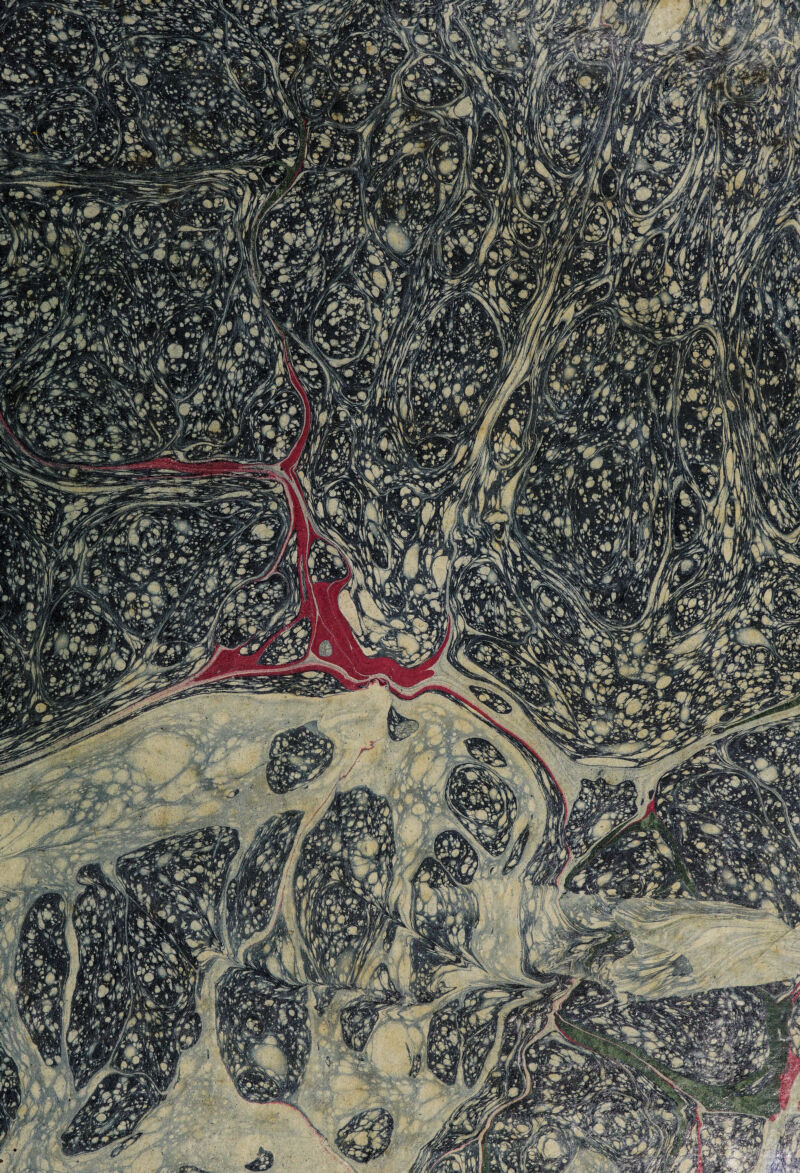 S* jT,/ .. • j. mM/wsiLJ^ 'm^rmmJf 4l\ f iCT ,'}-;) f :H xL fwj BPw /ja^j i-Tv jiv i ■»*