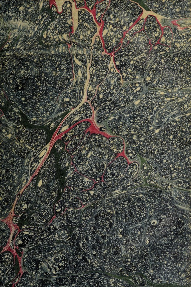 No text description is available for this image