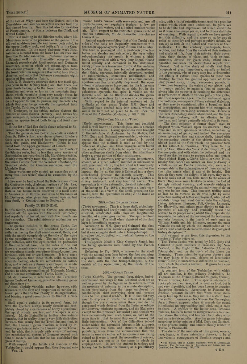 Turbinid.e.] of the Tsle of Wight and from the Oxford oolite in Dorsetshire, and another uncertain species from the last-named locality. See this list also for localities of Pleurotomaria. (‘ Strata between the Chalk and Oxford Oolite.’) Nor is it wanting in the Silurian rocks, where Mr. Murchison records the presence of the genus in the old red sandstone (middle and lower beds only), in the upper Ludlow rock, and (with a ?) in the Cara- doc sandstone. In the same elaborate work Pleu¬ rotomaria is noted from the lower Ludlow rock and from the Caradoc sandstone. (‘Silurian System.’) Solarium.—M. de Blainville observes that Lamarck records eight fossil species, and Defrance seventeen, some of which are snbanalogues from the calcaire grossier. M, de Blainville also notes the fossil Solarium magnum (Maclurite) from North America, and adds that Defrance enumerates eight species of Euomphalus (fossil). Mr. G. B. Sowerby observes that a few fossil spe¬ cies occur in the tertiary beds; and that there are some fossils belonging to the lower beds of oolitic i formation, and even as low as the mountain lime- : stone, which resemble them very nearly : these, he i adds, form the genus Cirrus of some authors, and do not appear to him to possess any characters by which they may be generically distinguished from \ the Trochi, Turbines, or Solaria. M. Deshayes, in his tables, makes sixteen the number of fossil Solaria (tertiary), and names So¬ laria variegatum, carocollatum, and pseudo-perspec- tivum as species found both living and fossil (ter- i tiary). In the list of Red Sea shells above referred to So¬ larium perspectivum appears. That the genus occurs below the chalk is evident from Dr. Fitton’s List, also above referred to, where ' three species are recorded from the upper green¬ sand, the gault, and Blackdown. Cirrus is also noted from the upper green-sand of Dorset. Solarium does not appear among the fossils of i the Silurian rocks, but no less than nine species of Euomphalus are recorded in Mr. Murchison’s tables, coming respectively from the Aymestry limestone, the lower Ludlow rock, the Wenlock limestone, the Wenlock shale, the Caradoc sandstone, and the Llandeilo flags. These works are only quoted as examples out of many fossil lists which should be examined by the student. Here may be best noticed the Rotellamana (from the Claiborne beds, Alabama, tertiary) of Mr. Lea, who observes that he is not aware that the genus Rotella has before been observed in a fossil state i in America or in Europe, and refers to the tables of M. Deshayes, who gives four recent species, but none fossil. (‘Contributions to Geology.’) Family TURBINHLE. In this family, according to Cuvier, are compre¬ hended all the species with the shell completely and regularly turbinated, and with the mouth en- i tirely circular. The subdivisions or subfamilies are ! numerous. The species included in the genus Turbo, Les Sabots of the French, are described by the same author as having the shell round or oval, thick, and with the mouth completely on the side of the spire by the penultimate whorl. The mollusk has two long tentacles, with the eyes carried on peduncles at. their external base; on the sides of the foot there are membranous wings or expansions, which are sometimes simple, sometimes fringed, sometimes furnished with one or two filaments. It is to some of these species that those thick, solid, calcareous opercula belong, which are remarkable in collec¬ tions, and which were formerly employed in medi¬ cine under the name of Unguis adoratus. Some species, he adds, are umbilicated (Meleagris, Month), and others not umbilicated (Turbo, Month). M. de Blainville, in reference to the Turbinidae (genus Turbo of Linnaeus), gives the following gene¬ ral characters :— Animal slightly variable, rather, however, with reference to the form and proportion of certain ex¬ ternal parts than to the totality of its organization, and bearing a great resemblance to that of a Tro- I chus. ■ Shell equally variable in its general form, but with the aperture always nearly circular and com¬ pletely closed by a calcareous or horny operculum ; the spiral whorls are few, and the apex is sub¬ lateral. M. de Blainville in further observations remarks, that in reality there is very little distinction between this family and the Trochidae, and that, in fact, the Linnacan genus Trochus is fused by in¬ sensible gradations into the Linnsean genus Turbo ; and he adds, that it is only with a view of making the conchological system of Linnaeus accord with that of modem authors that he has established the present family. With respect to the habits and manners of the Turbinidse, it would appear that they frequent sub- VOL. II. MUSEUM OF ANIMATED NATURE. marine banks covered with sea-weeds, and are all phytophagous, or vegetable feeders; a few are natives of fresh waters, and a limited number respire air. With respect to the restricted genus Turbo of modern naturalists, M. de Blainville thus charac¬ terizes it:— Animal nearly resembling that of the Trochi; the sides of the body are frequently ornamented with tentacular appendages varying in form and number. The head is prolonged into a proboscis; the ten¬ tacles are slender and setaceous; the eyes often subpedunculate; the mouth is without a labial tooth, but provided with a very long lingual riband rolled spirally and contained in the abdominal cavity ; there is a transverse furrow at the anterior border of the foot; two branchial pectinations; shell thick, nacreous, internally depressed, conical or subturriculate, sometimes umbilicated, and sometimes slightly carinated on its circumference ; aperture circular or slightly depressed; the oper¬ culum is calcareous or horny, and in the latter case the spire is visible on the outer side, but in the calcareous opercula the spire is visible on the internal side. M. de Blainville divides the genus Turbo into ten sections for the sake of convenience. With regard to the internal anatomy of the mollusks of the genus Turbo, MM. Quoy and Gaimard have entered fully into details, which it would be here out of place to follow. See the atlas of the Astrolabe (Zoologie, pi. 59, f. 10). 2684.—The Marbled Turbo (Turbo marmoratus). This large and beautiful shell is well known to conchologists, and is a native of the Indian seas. Living specimens were brought to the Astrolabe at Amboyna, by the Malays, but I MM. Quoy and Gaimard were unable to obtain any account of the habits of the animal. It would appear that the mollusk is used as food by the natives of Wagiou, and those voyagers often found the empty shells of this turbo upon the heaps of other molluscous shells from which the inhabitants derive a great portion of their subsistence. The shell is subovate, very ventricose, imperforate, smooth, of a green colour, marbled or subfasciated with green and white ; the last whorl is transversely nodulous in a triple series, the upper nodules the largest; the lip at the base is flattened into a short subreflected process: the mouth silvery. This shell, when deprived of its external layer, exhibits a silvery, iridescent, and very beautiful nacre. The operculum is white externally, chestnut internally. Referring to Fig. 2684, a represents a back view of the shell ; b, a view of the shell, presenting the mouth, with the operculum in situ; c, the inside of the operculum. 2685.—The Twisted Turbo (Turbo torquatus). This is a large shell, orbiculate- convex, broadly and deeply umbilicated, transversely sulcated, substriated with close-set longitudinal lamella;, of a green grey colour. The spire is blunt at the apex. The shell when deprived of its first layer is beautifully nacreous. According to MM. Quoy and Gaimard the foot of the mollusk often assumes a quadrilateral form, but it can elongate itself into a trumpet-shape. It is yellow below, dotted with reddish brown on the lateral parts. This species inhabits King George’s Sound, but few living specimens were found by the French voyagers. Referring to Fig. 2685, a represents the shell with the animal seen from below, the foot assuming a quadrilateral form ; b, the animal removed from the shell, with the foot trumpet-shaped; c, the outside of the operculum; d, the inside of the same. 2686.—Cook’s Turbo (Turbo Cookii). The general form, ridges, imbri- j cations, and markings of this beautiful shell are so ! well expressed by the figures, as to relieve us from the necessity of entering into a minute description, rather perplexing from the terms employed by conchologists than conveying clear and precise ideas to the general reader. It is in fact not very easy to express in words the details of a shell, though the eye at once seizes them; nor do the compound words derived from the Latin, as orbieu- late-convex, imbricato-squamous, and the like, serve | except for the professed naturalist; and though we j have occasionally used such terms, we have at the ! same time felt that to most, they would convey but little information. One of the difficulties indeed under which the naturalist labours in his attempts to describe the form and structure of objects popularly, arises from the circumstance that the terms he uses are either not in common use, being coined as it were to meet the necessities of science, or if used are not so in the sense in which he employs them. In fact the student in zoology and botany has to familiarize himself, as a preliminary 211 i step, with a list of scientific terms, used in a peculiar sense, which, when once understood, he perceives to be definite and expressive, but which constitute as it were a language per se, and to others destitute of meaning. With regard to shells we have greatly felt this difficulty, and the more so as, by way of relief to these dry and perhaps repulsive details, we can say so little of the habits and manners of their mollusks. On the contrary, quadrupeds, birds, reptiles, and fishes, from the variety of their instincts and modes of life, from their activity, their opera¬ tions, their change of place, and their external structure, diverse for given ends, afford inex¬ haustible materials for descriptions replete with interest. Yet is the study of shells and their occupants of great importance, signally so indeed to the geologist, who at every step has to determine the affinity of extinct fossil species to those now existing, to trace the gradual approach of forms long passed away, through successive periods, to those now' tenanting the waters of our globe; and is thereby enabled to amass a fund of materials, giving him the power of determining the difference or agreement of strata in various parts of the globe, and their respective ages. To the anatomist again the molluscous occupants of these external skeletons, as they may be considered, offer a boundless field of investigation, and present him with examples of wonderful and interesting organization. Hence is the term Conchology almost abandoned, and the term j Malacology (fidKcinog, soft, in allusion to the mollusks, and \oyog) generally adopted in its room. “The shell-collector of former days,” says an eloquent writer, “ looked upon his drawers, if they W'ere rich in rare species or varieties, as containing an assemblage of gems; and indeed the enormous prices given for fine and scarce shells, joined with the surpassing beauty of the objects themselves, j almost justified the view which the possessor took of his cabinet of treasures. They wTere to him really ‘ Les Delices des Yeux et de 1’Esprit and ; the energetic zeal with which he collected and the sacrifices that he made to procure a fine and perfect Many-ribbed Harp, a Gloria Maris, or Cedo Nulli, among the cones; an Aurora or Orange-Cowry, a Voluta aulica or Voluta Junonia, &c., w'ere only comparable to the extravagances of those visited by the tulip mania when it was at its height. But though they were the delight of his eyes, they were, in nine cases out of ten, little more to the owner of them: they were mere trinkets on which he looked dotingly without knowing, and scarcely wishing to know, the organization of the animal whose skeleton only was before him. This innocent trifling came at last to be viewed in its true light by some collectors worthy of better employment, who put off childish things and went deeper into the subject. Lister, Adanson, Linnaeus, Poli, Cuvier, Lamarck, De Blainville, and others gave dignity to this de¬ partment of zoology, and gradually raised the science to its proper rank; whilst the comparatively imperishable nature of the covering of the testaceous mollusks became, in the hands of such men as William Smith and his followers, among the most valuable records by which the stratification of the earth’s crust could be demonstrated and its geological history deciphered.” But we must return from this digression to the species of Turbo before us. The Turbo Cookii was found by MM. Quoy and Gaimard in great numbers in Tasman’s Bay, New Zealand, in the Bight of the Astrolabe (l’Anse de l’Astrolabe), and on the reefs of the Passe des Frangais. These scientific explorers observe that we may judge of its small degree of locomotion from the dirty incrustation, so difficult to be removed, with which the shell is covered. It grows to a con¬ siderable size. A common form of the Turbinidse, with which all are familiar, is the ordinary Periwinkle, Le Vogneau of the French (Littorina vulgaris, Feruss.), Turbo Jittoreus, Linn. This species abounds in rocky places in our seas, and is used as food, but is not very digestible, and has been known to occasion dangerous disorders. According to Pennant the Swedish peasants believe that when these shells creep high up the rocks, they indicate a storm from the south. Linnaeus quotes Stroem, the Norwegian, for a different augury; when it ascends the strand it indicates an approaching land-wind, and a calm in-shore. A species in the hotter seas, Littorina j pulchra, has been found on mangrove-trees fourteen feet above the water, and has been kept alive with¬ out. water for six months. Another genus belonging, ! according to the opinion of MM. Quoy and Gaimard, to the present family, and indeed closely related to Turbo, is Phasianella. The shells of the mollusks of this genus, once so rare, began, as these naturalists observe, to be of less value in consequence of Baudin s voyage ; and # The Fiench title of Knurr’s celebrated work in German and French. The German title is * Vergnugen der Augen und deg Gemuths,’ 4to., Nuremberg, 1757, 17(34. 2 E 2