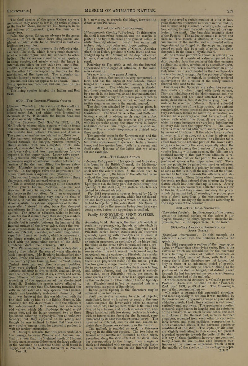 The fossil species of the genus Ostrea are very numerous; they occur as low in Ihe series of strata as the lias limestone, inclusive : M. Deshayes, in his last edition of Lamarck, gives the number as eighty-two. From the genus Ostrea we advance to the genus Placuna, of which those large diaphonous and almost circular shells to be observed in most col¬ lections are examples. The genus Placuna presents the following cha¬ racters :—The shell, which is very much flattened, is of a regular figure, and not adherent to other bodies. The valves are almost translucid, quite so in some species, and nearly equal; the hinge is internal, and offers on one valve two longitudinal rib-like elevations converging at the summit, and on the other two corresponding furrows for the attachment of the ligament. The muscular im¬ pression is nearly centrical and rather small. The mollusk does not appear to be known. Three living species are recorded, and one fossil, in ter¬ tiary deposits. The living species inhabit the Indian and Red Seas. 2879.—The Chinese-Window Oyster (Placuna Placenta). The valves of this shell are sufficiently transparent to admit light; they are suborbicular, flat, and white, with longitudinal decussate striae. It inhabits the Indian Seas, and is taken on sandy boltoms. In the ‘Proceeds. Zool. Soc.’ for 1832, p. 28, Mr. Broderip characterizes a genus which he terms Placunanomia, forming, as its name indicates, an intermediate link between Placuna and Anomia. The generic characters are detailed as follows :— Shell adherent, subequivalve, irregular, flattened, plaited towards the margin, vitreous internally. Hinge internal, with two elongated, thick, sub¬ curved, divaricated teeth converging at the base in the lower valve, and Iwo ligamentiferous furrows opposite in the upper valve. Lower valve super¬ ficially fissured externally towards the hinge, the subosseous organ of adhesion inserted between the laminae of the shell and filling the fissure exter¬ nally. Muscular impression in each valve sub¬ central. In the upper valve the impression of the organ of adhesion is superadded. (Bi oderip.) The learned founder of the genus follows up these characteis, with the annexed observations :— “ This interesting genus partakes of the characters of the genera Ostrea, Plicatula, Placuna, and Anomia. It may be regarded as the connecting link between the two latter. With an arrangement of the hinge approaching very nearly to that of Placuna, it has the distinguishing organization of Anomia, while the external appearance of the shell, especially if viewed in situ, bears the strongest resemblance to Plicatula or some of the plicated oysters. The organ of adhesion, which in its bony character (for it is more bony than shelly) resembles that of Anomia, does not perforate the lower valve directly, but is inserted between the laminae of the internal surface of the lower valve, above the mus¬ cular impression and below the hinge, and passes out into an external, irregular, somewhat longitudinal superficial fissure or cicatrix, which is narrowest at Ihe hinge margin, and which it entirely fills to a level with the surrounding surface of the shell.” (Broderip, ‘Zool. Proc.’ February, 1832.) The Placunanomioe appear to be widely distri¬ buted ; they inhabit the seas of warm climates in both hemispheres. Mr. Broderip has described four (‘Zool. Proc.’and Muller's ‘Synopsis') brought to this country by Mr. Cuming, from the West Indies, Central America, and other western localities. They were dredged from sandy mud and muddy bottoms, adhering to bivalve shells, dead and living, and dead coral, at depths of six, eleven, and seven¬ teen fathoms; of these, Placuna echinata wears something of the appearance of the short-spined Spondyli. Besides the species above alluded to, Mr. Broderip states that Mr. Sowerby furnished him with an odd valve of a large species from Luconia, which was beautifully iridescent internally ; but as it was believed that this was identical with the fine shell sold by him to the British Museum, Mr. Broderip left the description of it to the officers of that establishment. Mr. Sowerby had some other odd valves, which Mr. Broderip thought might prove new, and the latter possessed two or three specimens adhering to Spondyli, from an unknown locality; but they appeared to be young, and though he was inclined to think that there was a new species among them, he deemed it prudent to wait for further information. hi. Deshayes remarks that this genus establishes the passage between Placuna and Anomia, and that it shows that the V-shaped tooth of Placuna is only an extreme modification of the large callosity of the Anomiae ; he adds that a fossil shell found in Egvpt, and which has been taken for a Placuna, ' Vol. II. ■* is a new step, as regards the hinge, between the Anomiae and Placunce. 28S0.—Cuming's Placunanomia (Placunanomia Cutningii, Broder.). In this species the shell is somewhat rounded, and the margin is plaited; the figure flattened; the general colour is ' white obscurely silvered. Length two and a half inches; height two inches and three-quarters. It is a native of the shores of Central America (the Gulf of Dulce, province of Costa Rica), and was dredged up by Mr. Cuming at the depth of eleven fathoms, attached to dead bivalve shells and dead coral. Referring to Fig. 2880, a exhibits the internal appearance of the organ of adhesion; b, the same seen externally. We now turn to the genus Anomia. In this genus the mollusk is very compressed in form, and has the edges of the delicate mantle fringed with a row of tentacular filaments. The foot is rudimentary. The adductor muscle is divided into three branches, and the largest of these passes by a notch in the lower valve, and becomes attached to an opercular stony or corneous piece, which is fixed to marine substances, as rock or dead shells ; in this singular manner is the anomia moored. The shell thus attached by its opercular piece, is inequivalve, irregular in outline, delicate, and often translucent. The fixed valve is the most flattened, having a round or oblong notch near the umbo, through which passes the muscular slip crowned with its opercular apex; the other valve is larger and more convex. The hinge-ligament is short and thick. The muscular impression is divided into three portions. The Anomiae occur in the European seas and the ; Atlantic Ocean : M. Deshayes in his tables records ' ten living species—eight species in tertiary forma- tions, and two species found both in a recent and j fossil state. It is one of the latter that we select for our exa'mple. 2881.—The Saddle Anomia (Anomia Ephippium). This species is of large size ; > it is found in the British Channel, the Mediterra- i nean, and the Atlantic Ocean, a represents the j shell with the valves closed ; b, the shell open to show the hinge ; c, the hinge of the attached valve without the bony appendage. Fig. 28S2 shows the bony appendage of Anomia Ephippium : a, the bony part that goes through the opening of the shell; b, the surface which is at¬ tached to external objects. Fig. 2883 represents a species termed by M. de j Blainville Anomia squamata, which has not this ad¬ ditional bony appendage, and which he says is at¬ tached to objects by the valve itself. Mr. Sowerby supposes it to be the Anomia Ephippium in a very young state, before the appendage is ossified. Family SPONDYLID/E (SPINY OYSTERS, WATEIl-CLAM, &c.). According to M. Deshayes, the family Spondylidse contains two genera, viz., Spondylus, into which he merges Podopsis, Dianchora, and Pachytes ; and Plicatula, which indeed stands only on uncertain grounds, agreeing with Spondylus in all essential characteristics. In the Spondyli there are auricles, or angular processes, on each side of the hinge ; and the umbo of the great valve is produced into a pro¬ jection having a flattened surface divided by a fur¬ row in which the old traces of the ligament may be perceived : on the contrary, in Plicatula the auricles rarely exist, and where they appear, are small, and there is no projection (talon) of the umbo; yet do the two genera merge insensibly into each other, for in some species of Spondylus the talon is trifling and without furrow, and the ligament is entirely concealed, as in Plicatula; while, per contra, in I some species of Plicatula there is an approximation in the development of the umbo to that of Spondy- I lus. Plicatula must in fact be regarded only as a convenient subgenus of Spondylus. In the genus Spondylus the characters may be j summed up as follows :— Shell unequivalve, adhering to external objects; auriculated, beset with spines or rough; the um- bones unequal; the low'er valve offers an external cardinal (cardo, a hinge) facet, which is flattened and divided by a furrow, and which increases with age. ! Hinge furnished with two strong teeth in each valve, ] with an intermediate fosset for the ligament, com¬ municated by its base with the external furrow. The ligament -is external, and its old and useless re- I mains show themselves externally in the furrow. The mollusk is rounded or oval, its thickness varying in the different species. The two lobes or laminse of the mantle are disunited at their edges, i excepting along the short extent, of the dorsal bor- [ der corresponding to the hinge; their margin is thick and furnished with several rows of long fleshy cilia, between which and on the internal border j may be observed a certain number of cilia at irre¬ gular distances, truncated as it were in the middle, and terminated by a smooth, convex, coloured sur¬ face, calling to mind the ocular surface of the ten¬ tacles in the snail. The branchiae resemble those of the Pectens. The adductor muscle is large and circular. The mouth is situated at the anterior commissure of the mantle, and surrounded with a large slashed lip, hinged on the edge and accom¬ panied on each side by a pair of palps, but little elongated, in the form of myrtle-leaves. At the anterior part of the animal is seated a pe¬ culiar organ : it consists of a disc supported by a short pedicle ; from the centre of this disc emerges a cylindrical tendon, terminated by a small, oviform, fleshy mass. This is evidently a modification of the foot, which, as it is not needed in the fixed Spondy¬ lus as a locomotive organ for the purpose of chang¬ ing the place of the animal, is probably rendered subservient to the direction of the ciliary currents charged with food to the mouth. Cuvier says the Spondyli are eaten like oysters ; their shells are often tinged with lively colours. They are inhabitants of the Mediterranean and the warmer seas, and are found attached to corals, rocks, dead shells, Sic., at depths varying from the surface to seventeen fathoms. Several splendid species are natives of the intertropics. An eminent conchologist, whose means of observation have been very extensive, makes the following interesting re¬ marks : he says, every one must have noticed the spines with which the Spondyli are armed, and which in some instances are very long, bristling out on every side from the upper valve. “The lower valve is attached and adheres to submerged bodies by means of foliations. If the whole lower surface adheres, as it often does, not a spine is given out from the lower valve ; but where the adhesion takes effect towards the anterior part of the lower valve only, as is frequently the case, especially when the shell is affixed among the branches of corals, a fa¬ vourite locality with some species, the foliations are confined merely to that part where adhesion is re¬ quired, and the rest or free part of the valve is as profuse of spines as the upper valve itself. There are two points to be gained—support or adhesion, and defence. The first is of primary importance ; and as soon as that is safe, all the resources of the animal seemed to be turned towards the offensive and de¬ fensive armour. Those fishes which browse among the corals are thus deterred from injuring the living fixture which has there taken up its abode. Avery fine series of specimens was collected with a view to this habit, and they showed not only the power which the animal had, of secreting the proper pro¬ cess of shell, according to the circumstances re¬ quired, but of modifying the secretion according to the exigencies of the occasion.” 2884.—The Ducal Spondylus (Spondylus ducalis). In this example of the present genus the internal surface of the valves is dis¬ played, showing the hinge, ligament, muscular im¬ pression, &c.: a, the upper valve ; b, the lower. 2885.—The Ame’ricax Spondylus, or Spiny Oyster (Spondylus Americanus). In this example the valves are closed, with the umbones towards the spectator. Fig. 288G represents a section of the large spon¬ dylus, or Water-clam (Spondylus varius, Brod.), the valves of which are remarkable for the nacreous layers forming a series of hollow chambers or reservoirs, filled, many of them, with fluid. In young shells these chambers are not formed, but only in those of an advanced period of growth. The water can not only be heard trickling as the position of the shell is changed, but distinctly seen through the last transparent nacreous layer, forming the immediate bed of the mollusk. On this eamerated structure a valuable paper by Professor Owen will be found in the ‘ Proceeds. Zool. Soc.’ 1837, p. 63, et seq. The following is part of that communication :— “In order to examine this carnerated structure, and more especially to see how it was modified by the presence and progressive change of place of the adductor muscle, I had a fine specimen sawn through vertically and lengthwise. The specimen in question measures eight inches in length ; and the substance of the concave valve, which is two inches one-third in thickness at the thickest part, includes fourteen chambers, separated from each other by very regu¬ larly formed and stout partitions, composed, as in other chambered shells, of the nacreous portion or constituent of the shell. The septa (or divisions) are slightly undulating in their course, but present a gradual concavity towards the outlet of the shell. Not any of these partitions, however, are continued freely across the shell;—but each becomes con¬ tinuous at the muscular impression, which is near the middle of the shell, with the contiguous septa.