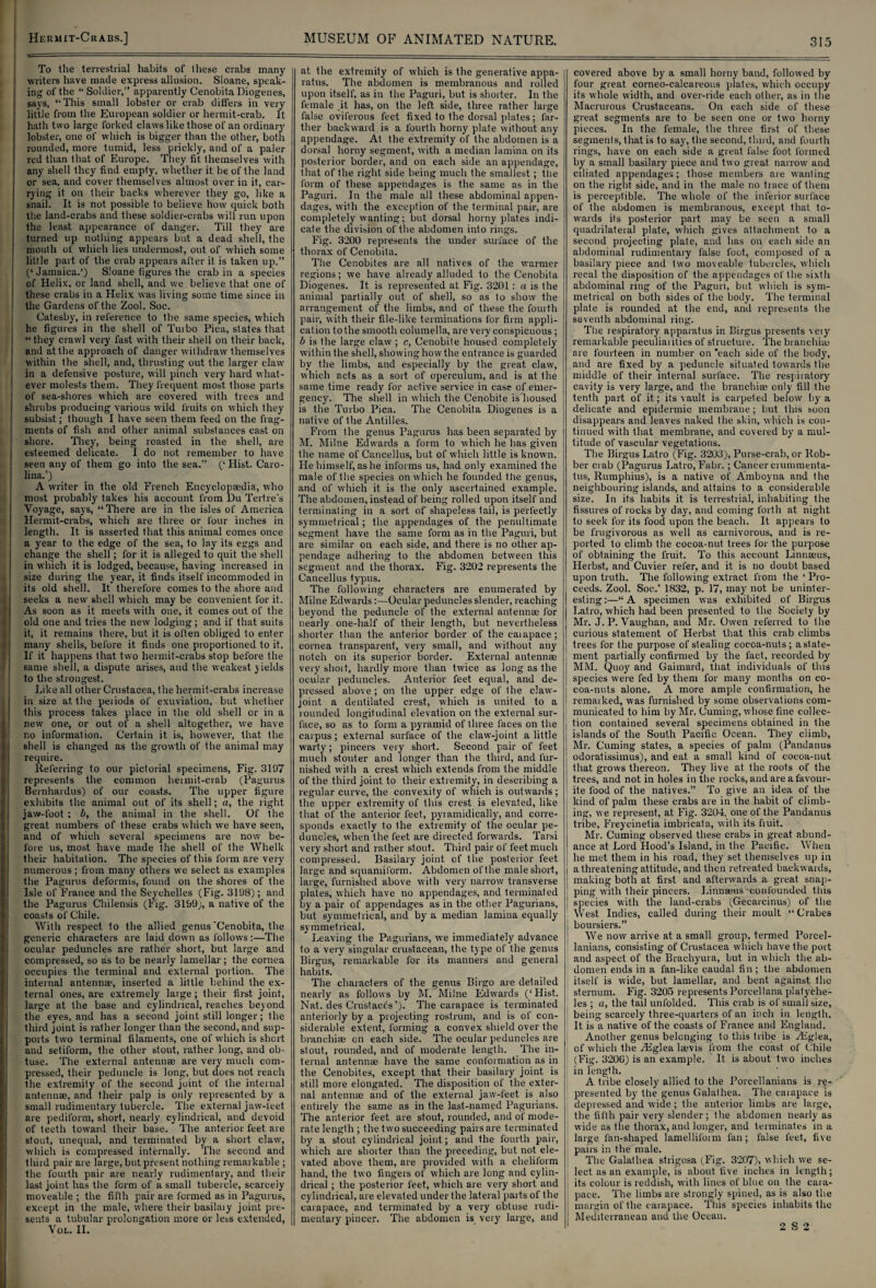 To the terrestrial habits of these crabs many writers have made express allusion. Sloane, speak¬ ing of the “ Soldier,” apparently Cenobila Diogenes, says, “This small lobster or crab differs in very little from the European soldier or hermit-crab. It hath two large forked claws like those of an ordinary lobster, one of which is bigger than the other, both rounded, more tumid, less prickly, and of a paler red than that of Europe. They fit themselves with any shell they find empty, whether it be of the land or sea, and cover themselves almost over in it, car¬ rying it on their backs wherever they go, like a snail. It is not possible to believe how quick both the land-crabs and these soldier-crabs will run upon the least appearance of danger. Till they are turned up nothing appears but a dead shell, the mouth of which lies undermost, out of which some little part of the crab appears after it is taken up.” (‘ Jamaica.’) Sloane figures the crab in a species of Helix, or land shell, and we believe that one of these crabs in a Helix was living some time since in the Gardens of the Zool. Soc. Catesby, in reference to the same species, which he figures in the shell of Tuibo Pica, slates that “they crawl very fast with their shell on their back, and at the approach of danger withdraw themselves within the shell, and, thrusting out the larger claw in a defensive posture, will pinch very hard what¬ ever molests them. They frequent most those parts of sea-shores which are covered with trees and shrubs producing various wild fruits on which they subsist; though I have seen them feed on the frag¬ ments of fish and other animal substances cast on shore. They, being roasted in the shell, are esteemed delicate. I do not remember to have seen any of them go into the sea.” (‘ Hist. Caro¬ lina.’) A writer in the old French Encyclopaedia, who most probably takes his account from Du Tertrc's Voyage, says, “There are in the isles of America Hermit-crabs, which are three or four inches in length. It is asserted that this animal comes once a year to the edge of the sea, to lay its eggs and change the shell; for it is alleged to quit the shell in which it is lodged, because, having increased in size during the year, it finds itself incommoded in its old shell. It therefore comes to the shore and seeks a new shell which may be convenient for it. As soon as it meets with one, it comes out of the old one and tries the new lodging; and if that suits it, it remains there, but it is often obliged to enter many shells, before it finds one proportioned to it. If it happens that two hermit-crabs stop before the same shell, a dispute arises, and the weakest yields to the strongest. Like all other Crustacea, the hermit-crabs increase in size at the periods of exuviation, but whether this process takes place in the old shell or in a new one, or out of a shell altogether, we have r.o information. Certain it is, however, that the shell is changed as the growth of the animal may require. Referring to our pictorial specimens, Fig. 3197 represents the common heimit-crab (Pagurus Bernhardus) of our coasts. The upper figure exhibits the animal out of its shell; a, the right jaw-foot : b, the animal in the shell. Of the great numbers of these crabs which we have seen, and of which several specimens are now be¬ fore us, most have made the shell of the Whelk their habitation. The species of this form are very numerous; from many others we select as examples the Pagurus deformis, found on the shores of the Isle of France and the Seychelles (Fig. 3198); and the Pagurus Chilensis (Fig. 3199;, a native of the coasts of Chile. With respect to the allied genus‘Cenobita, the generic characters are laid down as follows:—The ocular peduncles are rather short, but large and compressed, so as to be nearly lamellar; the cornea occupies the terminal and external portion. The internal antennae, inserted a little behind the ex¬ ternal ones, are extremely large ; their first joint, large at the base and cylindrical, reaches beyond the eyes, and has a second joint still longer; the third joint is rather longer than the second, and sup¬ ports two terminal filaments, one of which is short and setiform, the other stout, rather long, and ob¬ tuse. The external antennae are very much com¬ pressed, their peduncle is long, but does not reach the extremity of the second joint of the internal antennae, and their palp is only represented by a small rudimentary tubercle. The external jaw-teet are pediform, short, nearly cylindrical, and devoid of teeth toward their base. The anterior feet are stout, unequal, and terminated by a short claw, which is compressed internally. The second and third pair are large, but present nothing remarkable ; the fourth pair are nearly rudimentary, and their last joint has the form of a small tubercle, scarcely moveable ; the fifth pair are formed as in Pagurus, except in the male, where their basilaiy joint pre¬ sents a tubular prolongation more or less extended, Von. II. at the extremity of which is the generative appa¬ ratus. The abdomen is membranous and rolled upon itself, as in the Paguri, but is shorter. In the female it has, on the left side, three rather large false oviferous feet fixed to the dorsal plates ; far¬ ther backward is a fourth horny plate without any appendage. At the extremity of the abdomen is a dorsal horny segment, with a median lamina on its posterior border, and on each side an appendage, that of the right side being much the smallest ; the form of these appendages is the same as in the Paguri. In the male all these abdominal appen¬ dages, with the exception of the terminal pair, are completely wanting; but dorsal horny plates indi¬ cate the division of the abdomen into rings. Fig. 3200 represents the under surface of the thorax of Cenobita. The Cenobites are all natives of the warmer regions; we have already alluded to the Cenobita Diogenes. It is represented at Fig. 3201: a is the animal partially out of shell, so as to show the arrangement of the limbs, and of these the fourth pair, with their file-like terminations for firm appli¬ cation to the smooth columella, are very conspicuous ; b is the large claw ; c, Cenobite housed completely within the shell, showing how the entrance is guarded by the limbs, and especially by the great claw, which acts as a sort of operculum, and is at the same time ready for active service in case of emer¬ gency. The shell in which the Cenobite is housed is the Turbo Pica. The Cenobita Diogenes is a native of the Antilles. From the genus Pagurus has been separated by M. Milne Edwards a form to which he has given the name of Cancellus, but of which little is known. He himself, as he informs us, had only examined the male of the species on which he founded the genus, and of which it is the only ascertained example. The abdomen, instead of being rolled upon itself and terminating in a sort of shapeless tail, is perfectly symmetrical; the appendages of the penultimate segment have the same form as in the Paguri, but are similar on each side, and there is no other ap¬ pendage adhering to the abdomen between this segment, and the thorax. Fig. 3202 represents the Cancellus typus. The following characters are enumerated by Milne Edwards:—Ocular peduncles slender, reaching beyond the peduncle of the external antennae for nearly one-half of their length, but nevertheless shorter than the anterior border of the caiapace; cornea transparent, very small, and without any notch on its superior border. External antennae veryshoit, hardly more than twice as long as the ocular peduncles. Anterior feet equal, and de¬ pressed above; on the upper edge of the claw- joint a dentilated crest, which is united to a rounded longitudinal elevation on the external sur¬ face, so as to form a pyramid of three faces on the carpus; external surface of the claw-joint a little warty; pincers very short. Second pair of feet much stouter and longer than the third, and fur¬ nished with a crest which extends from the middle of the third joint to their extremity, in describing a regular curve, the convexity of which is outwards; the upper extremity of this crest is elevated, like that of the anterior feet, pyramidically, and corre¬ sponds exactly to the extremity of the ocular pe¬ duncles, when the feet are directed forwards. Tarsi very short and rather stout. Third pair of feet much compressed. Basilary joint of the posterior feet large and squamiform. Abdomen of the male short, large, furnished above with very narrow transverse plates, which have no appendages, and terminated by a pair of appendages as in the other Pagurians, but symmetrical, and by a median lamina equally symmetrical. Leaving the Pagurians, we immediately advance to a very singular crustacean, the type of the genus Birgus, remarkable for its manners and general habits. The characters of the genus Birgo are detailed nearly as follows by M. Milne Edwards (‘ Hist. Nat. des Crustaccs’). The carapace is terminated anteriorly by a projecting rostrum, and is of con¬ siderable extent, forming a convex shield over the branchiae on each side. The ocular peduncles are stout, rounded, and of moderate length. The in¬ ternal antennae have the same conformation as in the Cenobites, except that their basilary joint is still more elongated. The disposition of the exter¬ nal antennae and of the external jaw-feet is also entirely the same as in the last-named Pagurians. The anterior feet are stout, rounded, and of mode¬ rate length ; the two succeeding pairs are terminated by a stout cylindrical joint; and the fourth pair, which are shorter than the preceding, but not ele¬ vated above them, are provided with a cheliform hand, the two fingers of which are long and cylin¬ drical ; the posterior feet, which are very short and cylindrical, are elevated under the lateral parts of the carapace, and terminated by a very obtuse rudi¬ mentary pincer. The abdomen is very large, and covered above by a small horny band, followed by four great corneo-calcareous plates, which occupy its whole width, and over-ride each other, as in the Macrurous Crustaceans. On each side of these great segments are to be seen one or two horny pieces. In the female, the three first of these segments, that is to say, the second, third, and fourth rings, have on each side a great false foot formed by a small basilary piece and two great narrow and ciliated appendages; those members are wanting on the right side, and in the male no trace of them is perceptible. The whole of the inferior surface of the abdomen is membranous, except that to¬ wards its posterior part may be seen a small quadrilateral plate, which gives attachment to a second projecting plate, and has on each side an abdominal rudimentary false foot, composed of a basilary piece and two moveable tubercles, which recal the disposition of the appendages of the sixth abdominal ring of the Paguri, but which is sym¬ metrical on both sides of the body. The terminal plate is rounded at the end, and represents the seventh abdominal ring. The respiratory apparatus in Birgus presents veiy remarkable peculiai ities of structure. The branchial are fourteen in number on each side of the body, and are fixed by a peduncle situated towards the middle of their internal surface. The respiratory cavity is very large, and the branchiae only fill the tenth part of it; its vault is carpeted below by a delicate and epidermic membrane; but this soon disappears and leaves naked the skin, which is con¬ tinued with that membrane, and covered by a mul¬ titude of vascular vegetations. The Birgus Latro (Fig. 3203), Purse-crab, or Rob¬ ber crab (Pagurus Latro, Fabr. ; Cancer ciummenta- tus, Rumphius), is a native of Amboyna and the neighbouring islands, and attains to a considerable size. In its habits it is terrestrial, inhabiting the fissures of rocks by day, and coming forth at night to seek for its food upon the beach. It appears to be frugivorous as well as carnivorous, and is re¬ ported to climb the cocoa-nut trees for the purpose of obtaining the fruit. To this account Linnaeus, Herbst, and Cuvier refer, and it is no doubt based upon truth. The following extract from the ‘Pro¬ ceeds. Zool. Soc.’ 1832, p. 17, may not be uninter¬ esting :—“ A specimen was exhibited of Birgus Latro, which had been presented to the Society by Mr. J. P. Vaughan, and Mr. Owen referred to the curious statement of Herbst that this crab climbs trees for the purpose of stealing cocoa-nuts; astate- rnent partially confirmed by the fact, recorded by MM. Quoy and Gaimard, that individuals of this species were fed by them for many months on co¬ coa-nuts alone. A more ample confirmation, he remarked, was furnished by some observations com¬ municated to him by Mr. Cuming, whose fine collec¬ tion contained several specimens obtained in the islands of the South Pacific Ocean. They climb, Mr. Cuming states, a species of palm (Pandanus odoratissimus), and eat a small kind of cocoa-nut that grows thereon. They live at the roots of the trees, and not in holes in the rocks, and are a favour¬ ite food of the natives.” To give an idea of the kind of palm these crabs are in the habit of climb¬ ing, we represent, at Fig. 3204, one of the Pandanus tribe, Freycinetia imbricata, with its fruit. Mr. Cuming observed these crabs in great abund¬ ance at Lord Hood’s Island, in the Pacific. When he met them in his road, they set themselves up in a threatening attitude, and then retreated backwards, making both at first and afterwards a great, snap¬ ping with their pincers. Linnaeus confounded this | species with the land-crabs (Gecarcinus) of the West Indies, called during their moult “ Crabes I boursiers.” We now arrive at a small group, termed Porcel- lanians, consisting of Crustacea which have the port and aspect of the Brachyura, but in which the ab¬ domen ends in a fan-like caudal fin; the abdomen itself is wide, but lamellar, and bent against the sternum. Fig. 3205 represents Porcellana platyche- les ; a, the tail unfolded. This crab is of small size, being scarcely three-quarters of an inch in length. It is a native of the coasts of France and England. Another genus belonging to this tribe is Zliglea, of which the TEglea laevis from the coast of Chile (Fig. 320G) is an example. It is about two inches in length. A tribe closely allied to the Porcellanians is re¬ presented by the genus Galathea. The carapace is depressed and wide; the anterior limbs are large, the fifth pair very slender ; the abdomen nearly as wide as the thorax, and longer, and terminates in a large lan-shaped lamelliloim fan; false feet, five pairs in the male. The Galathea strigosa (Fig. 3207), which we se¬ lect as an example, is about five inches in length; its colour is reddish, with lines of blue on the cara¬ pace. The limbs are strongly spined, as is also the margin of the carapace. This species inhabits the Mediterranean and the Ocean. 2 S 2