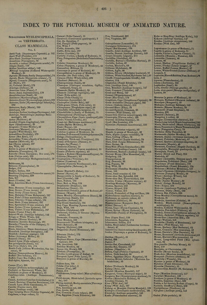 INDEX TO THE PICTORIAL MUSEUM OF ANIMATED NATURE. Sub-kingdom MYELENCEPHALA, or VERTEBRATA. CLASS MAMMALIA. VOL. I. Aard-Vark (Orycteropus Capensis), p. 182 Aard-Wolf (Proteles), 211 Abu-Harb (Antilope leucoryx), 146 Acantbion (Porcupines), 70 Acoucbi, a rodent (Dasyprocta acuclii), 75 Adapis (fossil), 110 Addax (Antilope addax), 143 jEthiops torquatus (Collared White-eyelid Monkey), 35 Agoutis (Rodents, family Dasyproctid®), 74 Agouti, Black (Dasyprocta cristata), 74 Agouti, Common (Dasyprocta acuti), 74 AY (Sloth), 175 AY, Collared (Sloth), 175 Alactaga (Jerboas), 58 American Lion (Puma), 7 Anoa (Anoa depressicornis), 170 Anoplotherium (fossil), 99 Anteaters (Myrmecophaga), 182 Anteater,Great (M yrmecophaga j ubata), 182 Anteater, Little (Myrmecophaga didactyla), 183 Anteaters, Scaly (Manis), 183 Antelopes, 139 Antelope, Indian(Antilope Cervicapra), 142 Antelope, Saemmering's (Antilope S®m- meringii), 139 Aotus (Nocthora), 43 Aoudad (Capra tragelaphus), 150 Apes (Quadrumana), 26 Araguato (Ursine Howler), 42 Arctomys (Marmot), 55 Argalis (Wild Sheep), 151 Armadilloes (Loricata), 179 Arnee (Bos Arni), 171 Arvicolid® (Voles, a family of Rodentia), 63 Aspalax (Mole-rat), 67 Ass (Equus asinus), 107 Ass, Wild, 107 At.eles (a genus of Monkeys), 39 Atherura (Porcupines), 70 Aurochs (Bison Europteus ; Bos urus), 174 Axis (Cervus axis), 135 Aye-aye (Cheiromys Madagascariensis), 50 Bahiroussa, 95 Baboons (Cynocephalus), 38 Badger, 218 Badger, Indian, 218 Bandicoot,long-nosed(Perameles nasuta)15 Banxring (Tupaia), 238 Bats, 227 Bears (Ursid*), 186 Bear, American Black (Ursus Americanus), 186 Bear, Bornean (Ursus euryspilus), 187 Bear, Brown (Ursus Arctos), 187 Bear, Grisly (Ursus ferox), 187 Bear, Malayan (Ursus Malayanus), 187 Bear, Polar (Ursus maritimus), 190 Bear, Siberian (Ursus collaris), 186 Bear, Sloth (Ursus labiatus), 187 Bear, Spectacled (Ursus ornatus), 187 Bear, Syrian (Ursus Syriacus), 187 Bear, Thibet (Ursus Thibetanus), 187 Beaver (Castor Fiber), 66 Bekr-el-Wash (Antilope bubalus), 146 Beluga or White Whale, 242 Bhunder (Bhesus Monkey), 38 Binturon (Arctitis Binturong), 191 Biscacha (Viscacha of the Pampas), 71 Bison (Oxen), 155 Bison, American (Bison Americanus), 174 Blauwbok (Antilope leucophsa), 146 Blessbok (Antilope pygarga), 139 Bobac (Arctomys Bobac), 55 Bonasus (Oxen), 155 Booted Lynx (Felis caligata), 11 Bos primigenius (fossil), 155 Bos Urus (Zubr), 155, 174 Bosch-Vark (African Woodswine, Sus lar- vatus), 99 Budeng (Semnopithecus Maurus), 34 Buffalo (Bos bubalus), 171 Buffalo Cape (Bos Caffer), 174 Bull-fights, Spanish, 162 Caama (Fox), 206 Cacajao (Pithecia melanocephala), 42 Cachalot, or Spermaceti Whale, 242 Callithrix (a genus of Monkeys), 43 Cambing-outan (Antilope Sumatrensis), 143 J Camel, Arabian(Camelus dromedarius),l 15 Camel, Bactrian (Camelus Bactrianus), 119 Canada Lynx (Felis Canadensis), 11 Canid® (Canine race), 194 Canna (Antilope oreas), 146 Cape Leaping Hare (Pedetes Capensis), 59 Capybara, a large rodent, 75 Caracal (Felis Caracal), 11 Carnivora (Carnivorous quadrupeds), 2 Cat, the Egyptian, 7 Cat, Pampas (Felis pageros), 10 Cat, Wild, 7 Cattle, domestic, 158 Cattle, Zebu race, 167 Cavies (Caviid®), 75 Caviid® (Cavies, a family of Rodents), 75 Cavy, Patagonian (Dolichotis Patachonica), 75 Cebidre (American Monkeys), 39 Cebus (Sapajous, a genus of Monkeys), 42 Cercocebus iEthiops, 35 Cercomys (a genus of Rodents), 67 Cercopithecus (a genus of Monkeys), 35 Cervid® (the Deer tribe), 130 Cetacea (Order Whale-tribe), 239 Chackma (Baboon), 38 Chseropotamus (fossil), 99 Ch®ropus (Ch®ropus ecaudatus, Ogilby; castanotis, Gray), 15 Chameck (Spider Monkey), 39 Chamois (Antilope rupicapra), 143 Chati (Felis mitis), 10 Chaus (Felis Chaus),! 11 Cheiromys (Lemurid®), 50 Cheiroptera (Order Bats), 227 Chibi-guazu (Chati, Felis mitis), 10 Chimpanzee (Troglodytes niger), 26 Chinchilla (Chinchilla lanigera), 71 Chinchillid® (a family of Rodents), 71 Chlamyphorus (Pichiciago), 182 Chrysochlore, Cape (Insec. quadruped),235 Civet (Viverra Civetta), 211 Coast-rat (Bathiergus maritimus), 67 Coaita (Spider Monkey), 39 I Coati (Nasua), 191 Coendou (Brazilian Porcupine), 70 Colobus (a genus of Monkeys), 34 Colobus, Ful!-maned(Colobus polycomos)34 Colugo (Galeopithecus), 51 Condylure, Thick-tail (Condylura), 235 Coney of Scripture (Daman), 91 j Cougar, the (Puma), 7 Couscous (Cuscus), 19 Couscous, spotted (Cuscus maculatus), 19 Couxio (Pithecia sagulata), 43 Coypu, a Rodent (Myopotamus Coypus), 70 Cricetus (Hamster), 63 Cryptoprocta (Viverrine), 2l 1 Cuscus (Couscous), 19 Cynictis (Cynictis Steedmannii), 214 Cynocephalus (Baboons), 38 Dauw (Burchell’s Zebra), 110 Daman (Hyrax), 91 Dasyproctid® (a family of Rodents), 74 Deer (Cervid®), 130 Deer, Fallow, 134 Deer, Red, or Stag, 134 Delphinid® (Dolphins), 239 Delundung (Genet), 211 Dendrobius (Octodon, genus of Rodents),67 Desman (Mygale), 231 Diana Monkey (Cercopithecus Diana), 35 Dinotherium (fossil), 111 Dipodid® (Jerboas), 58 Dog (Canis familiaris), 194 Dog, Cape Hunting (Lycaon tricolor), 207 Dogs, Wild, 194 Dolphin (Delphinus), 239 Dormouse, Garden, or Greater (Myoxus nitela), 58 Dormouse, Common, 55 Douc Monkey, 246 Douroucouli (Nocthora trivirgata), 43 Drill (Baboore), 39 Dugong (Halicore), 238 Dzigguetai (Equus Hemionus), 107 Edentata (Order), 175 Elephant, 79 Elephant-Shrew, Cape (Macroscelides typicus), 231 Elk, American, 130 Entellus Monkey, 34’ Equus (the Florse), 102 Erethiza (Porcupines), 70 Eriodes (a sub-genus of Ateles), 39 European Lynx (Felis Lynx), 11 Euryotes (a genus of Muridae), 63 Fallow-deer, 134 Felid® (Cat tribe), 2 Fennec (Fox), 207 Ferret, 21 5 Field-mouse, Long-tailed (Mus sylvaticus), 62 Field-mouse, Short-tailed (Arvicola agres- tis), 247 Elying-squirrel, Rocky-mountain(Pteromys Alpinus), 54 Fox, American red, 206 Fox, Arctic, 207 Fox, Common (Canis vulpes), 206 Fox, Egyptian (Canis Niloticus), 206 Fox, Tricoloured, 207 Fox, Virginian, 207 Galeopithecus (Lemurid®), 51 Garangan (Ichneumon), 214 Gayal (Bos Gav®us), 170 Gazelle, Ariel (Antilope Arabica), 139 Gazelle, Dorcas (Antilope Dorcas), 139 Genet (Genetta vulgaris), 211 Gerbillus (Gerbilles), 59 Gerbille, Burton’s (Gerbillus Burtoni), 59 Gerbille, Indian, 59 Gerboa, Mitchell’s, 59 Gibbons (Hylobates), 30 Gibbon, Agile, 30 Gibbon, Silvery (Hylobates leuciscus), 31 Gibbon, White-handed(Hylobates Lar.),31 Giraffe (Camelopardalis Giraffa), 123 Glutton, 215 Glyptodon (Fossil Edentata), 178 Gnu (Antilope Gnu), 146 Gnu, Brindled (Antilope Gorgon), 147 Goat, Common (Varieties), 147 Goats and Sheep, 147 Gomari (Hippopotamus), 87 Gour (Bos Gour), 170 Graphiure, Cape (Graphiurus Capensis), 58 Great Armadillo (Dasypus gigas), 182 Grison (Galictis vittata), 218 Ground-Hare (Pika), 78 Ground-Squirrel, Common, 55 Guanaco (Wild Llama), 122 Guazu-bira (Cervus nemorivagus), 138 Guazu-pita (Cervus rufus), 138 Guereza (Colobus Guereza), 35 Gyall (Bos frontalis), 170 Gymnura (Gymnura insectivorus), 235 Hamster (Cricetus vulgaris), 63 Hapale (a genus of Monkeys), 46 Hare, Alpine (Lepus variabilis), 78 Hare, Calling (Pika), 78 Hare, Common (Lepus timidus), 78 Hare, Irish (Lepus Hibernicus), 78 Hare, Syrian, 78 Harp-Seal (Phoca Gr®nlandica), 222 Hartebeest (Antilope Caama), 146 Hartebeest, Bastard (Antilope lunata), 146 Harvest Mouse (Mus Messorius), 63 Hedgehog, 235 Hippopotamus, 87 Hog, Domestic, 98 Hog, Papuan, 99 Hog, Wild, 98 Hoonuman (Entellus Monkey), 31 Horse, 102 Horse, fossil remains of, 110 Horse-shoe Bat, Splendid, 230 Horse-shoe Bat, Three-toothed, 230 Howler, Ursine (Mycetes ursinus), 42 Howling-Monkeys (Mycetes), 39 Hyrena, Spotted, 210 Hy®na, Striped, 210 Hy»na, Villose, 211 Hybrid, Pretended, of Dog and Bear, 190 Hydrochcerus capybara (Cavies), 75 Hydromys, an aquatic rodent, 63 Hylobates (Gibbons), 30 Hypsiprymnus (Kangaroo Rat), 19 Hyrax (Daman), 9] Hyrax, Cape (Hyrax Capensis), 94 Hyrax, Syrian (Ilyrax Syriacus), 94 Hystricid® (Family of Porcupines), 70 Ibex (Capra Ibex), 150 Ichneumon, Egyptian, 214 Ichneumon, Indian, 214 Indris, Short-tailed (Lichanotus brevicau- datus), 47 Insectivora (Insect-eating Quadrupeds), 231 Isodon (Capromys, a genus of Rodents), 70 Jacchus (Hapale), 46 Jackal, 206 Jaguar, 7 Javelin-Bat, Crenulated, 227 Javelin-Bat, Greater, 227 Jerboas (Dipodid®), 58 Jerboa, Cape (Pedetes Capensis), 59 Jerboa, Dark-banded, 58 Jerboa, Egyptian (Dipus .ZEgyptius), 58 Jumping-Mouse, Labrador (Meriones La- bradoricus), 58 Kahau (Proboscis Monkey), 34 Kalong (Bats), 230 Kanchil (Moschus Kanchil), 127 Kangaroo, Great (Macropus major), 18 Kangaroo Rat (Hypsiprymnus murinus), 91 Keitloa (Rhinoceros Keitloa), 91 Kerodon (Cavies), 75 Khur (Wild Ass), 107 Kiang (Wild Ass), 107 Kidang, or Muntjak (Cervus Muntjak), 138 Kinkajou (Cercoleptes caudivolvulus), 191 Kleenbok (Antilope perpusilla), 143 Koala (Phascolarctos cinereus), 22 Koba or Sing-Sing (Antilope Koba), 143 Kokoon (Antilope taurina), 147 Koodoo (Antilope strepsiceros), 146 Koulan (Wild Ass), 107 Lagostomus (a genus of Rodents), 71 Lagotis (a genus of Rodents), 71 Lagotis, Cuvier's (Lagotis Cuvieri), 71 Lamantin (Manatee ; Manatus), 238 Lemurid® (Lemurs), 46 Lemurs, 46 Lemur, Diadem (Propithecus diadem), 47 Lemur, Flocky (Lemur laniger), 47 Lemur, Ruffed (Lemur Macaco), 47 Lemur, White-fronted (Lemur alb'ifrons), 47 Leopard, 6 Leporid®,Hares&Rabbits(Fam.Rodents),78 Lion, 2 Lipurus (Phascolarctos), 22 Llama (Auehenia), 122 Lophiodon (fossil), 95 Loris, slender (Stenops gracilis), 47 Loris, slow-paced (Stenops tardigradus), 47 Lynxes, 10 Macacus (a genus of Monkeys), 35 Macaque, Radiated (Macacus radiatus), 38 Macropus (Kangaroo), 18 Madoqua (Antilope Saltiana), 142 Maimon (Rhesus Monkey), 38 Mammoth (Fossil Elephant), 86 Manatee, 238 Mandrill (Baboon), 38 Mangabey a collier, 35 Mangue (Crossarchus obscurus), 214 Manis,Long-tailed(Manis longicaudata)183 Manis, Short-tailed (Manis brachyura), 183 Manis,Temminck’s(ManisTemminckii)183 Mara (Patagonian Cavy), 75 Marikina (Silky Tamarin), 46 Marimonda (Spider Monkey), 39 Marmot, Alpine (Arctomys marmota), 55 Marmot, Podolian (Mole-rat), 67 Marmot, Quebec (Arctomys empetra), 55 Marmozets (Hapale), 46 Marmozet, Common (Hapale Jacchus), 46 Marsupialia, Marsupial quadrupeds, 14 Marsupials, Fossil, 23 Marten (Beech and Pine), 215 Mastodon, 87 Mataco (Armadillo, Dasypus apar), 179 Megaderma, Trifoliated (Bats), 230 Megalonyx (Fossil Edentate), 179 Megatherium (Fossil Edentate), 178 Meminna (Moschus Meminna), 127 Merian’s Opossum (Didelphis dorsigera), 14 Meriones (Jumping Mouse), 58 M’horr (Antilope M’horr), 142 Midas (Hapale), 46 Miriki (Spider Monkey), 39 Moholi (Galago Moholi), 50 Mole (Talpa), 234 Mole-rat (Aspalomys Typhlus), 67 Molossus, Dusky (Bats), 230 Molucca Bat, Pallas’s, 230 Mona-Monkey (Cercopithecus mona), 35 Monkeys, 31 Monkeys, American (Cebid®), 39 Monkey, Black-crested (Semnopithecus melalophus), 34 Monkey, Collared White-eyelid, 35 Monkeys, Fox-tailed (Pithecia), 42 Monkey, Green (Cercopithecus sab®us), 35 Monkey, Jacketed (Pithecia sagulata), 43 Moose-deer (American Elk), 130 Morse (Walrus), 226 Moschid® (Family of Ruminants), 127 Mouflon (Wild Sheep), 151 Mouse, Barbary (Mus Barbaras), 62 Mouse, Common (Mus musculus), 59 Mouse, Darwin’s (Mus Darwinii), 62 Mouse, Economist (Arvicola ceconomus),63 Mouse, Harvest (Mus messorius), 63 Mouse, Long-tailed Field (Mus sylvati¬ cus), 62 Mus pumilio (Barbary Mouse), 62 Mule, 110 Muntjaks, or Chevrotains, 138 Murid® (Mouse family), 59 Musk-deer (Moschus moschiferus), 127 Musquash (Ondatra zibethica), 66 Mustelid® (Weasels), 214 Mycetes (a genus of Monkeys), 39 Mylodon (Fossil Edentate), 178 Myoxid® (Dormice), 55 Myrmecobius, Banded (M. fasciatus), 18 Napu (Moschus Javanicus), 127 Narwhal (Monodon), 239 Nocthora (a genus of Monkeys), 43 Noctilio, Leporine (Bats), 230 Nutria, a fur-bearing Rodent (Coypu), 70 Nycteris, Geoffroy’s (Bats), 230 Nyctipithecus (Nocthora), 43 Nyl-ghau (Antilope picta), 143 Ocelot (Felis pardalis), 10