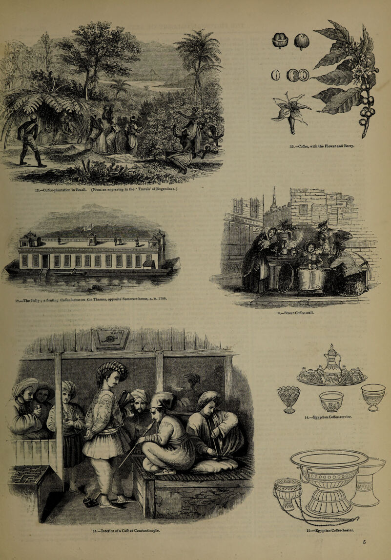 12.—Coffee, with the Flower and Berry, 13.—Coffee-plantation in Brazil. (From an engraving in the ‘ Travels’ of Kugendass.) a floating Coffee-house on the Thames, opposite Somerset-house, a. d. 1709, 18.—Street Coffee-stall. 14,—Egyptian Coffee-service. 15.—Egyptian Coffee-heater.