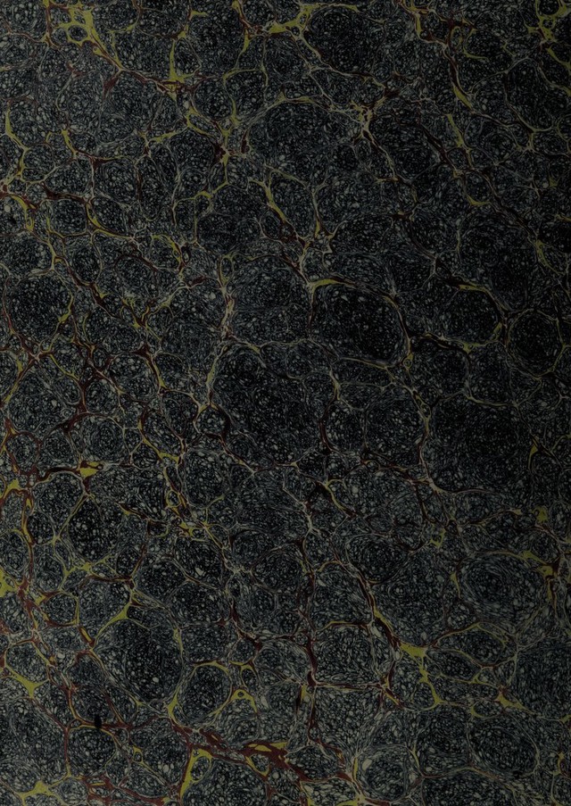 digitised image 2