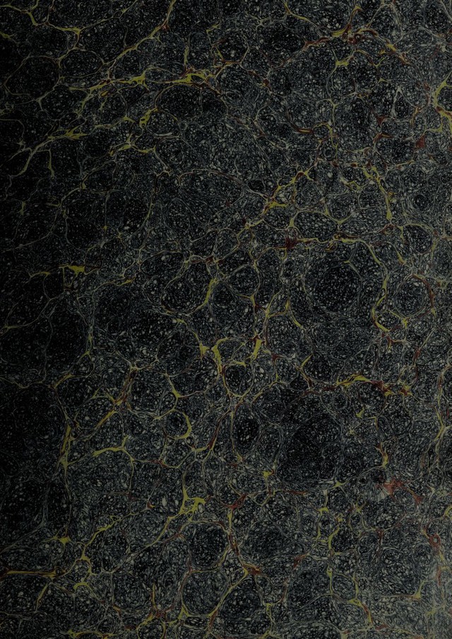 digitised image 3