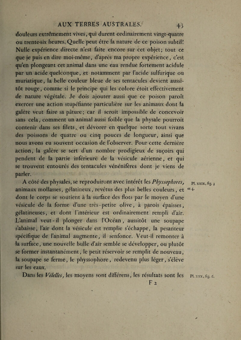 douleurs extrêmement vives, qui durent ordinairement vingt-quatre ou trente-six heures. Quelle peut être la nature de ce poison subtil! Nulle expérience directe n’est faite encore sur cet objet; tout ce que je puis en dire moi-même, d’après ma propre expérience, c’est qu’en plongeant cet animal dans une eau rendue fortement acidulé par un acide quelconque, et notamment par l’acide sulfurique ou muriatique, la belle couleur bleue de ses tentacules devient aussi¬ tôt rouge, comme si le principe qui les colore étoit effectivement de nature végétale. Je dois ajouter aussi que ce poison paroît exercer une action stupéfiante particulière sur les animaux dont la galère veut faire sa pâture; car il seroit impossible de concevoir sans cela, comment un animal aussi foible que la physale pourroit contenir dans ses filets, et dévorer en quelque sorte tout vivans des poissons de quatre ou cinq pouces de longueur, ainsi que nous avons eu souvent occasion de l’observer. Pour cette dernière action, la galère se sert d’un nombre prodigieux de suçoirs qui pendent de la partie inférieure de la vésicule aérienne, et qui se trouvent entourés des tentacules vénénifères dont je viens de parler. A côté des physales, se reproduiront avec intérêt les Physsophores, animaux mollasses, gélatineux, revêtus des plus belles couleurs, et dont le corps se soutient à la surface des fiots par le moyen d’une vésicule de la forme d’une très-petite olive, à parois épaisses, gélatineuses, et dont l’intérieur est ordinairement rempli d’air. L’animal veut - il plonger dans l’Océan, aussitôt une soupape s’abaisse, l’air dont la vésicule est remplie s’échappe, la pesanteur spécifique de l’animal augmente, il senfonce. Veut-il remonter à la surface, une nouvelle bulle d’air semble se développer, ou plutôt se former instantanément, le petit réservoir se remplit de nouveau, la soupape se ferme, le physsophore, redevenu plus léger, s’élève sur les eaux. F 2 PI. XXIX, fig. J et 4.