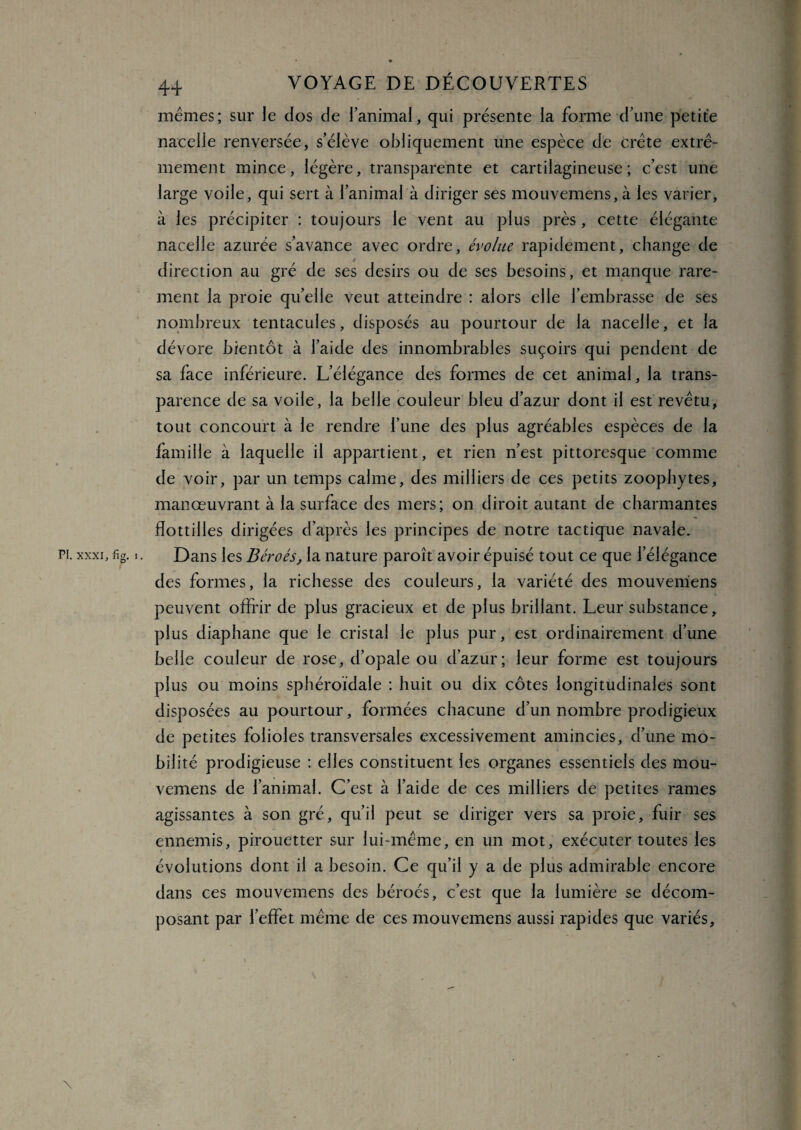 mêmes; sur le dos de l’animal, qui présente la forme d’une petite nacelle renversée, s’élève obliquement une espèce de crête extrê¬ mement mince, légère, transparente et cartilagineuse; c’est une large voile, qui sert à l’animal à diriger ses mouvemens, à les varier, à les précipiter : toujours le vent au plus près, cette élégante nacelle azurée s’avance avec ordre, évolue rapidement, change de direction au gré de ses désirs ou de ses besoins, et manque rare¬ ment la proie qu’elle veut atteindre : alors elle l’embrasse de ses nombreux tentacules, disposés au pourtour de la nacelle, et la dévore bientôt à l’aide des innombrables suçoirs qui pendent de sa face inférieure. L’élégance des formes de cet animal, la trans¬ parence de sa voile, la belle couleur bleu d’azur dont il est revêtu, tout concourt à le rendre l’une des plus agréables espèces de la famille à laquelle il appartient, et rien n’est pittoresque comme de voir, par un temps calme, des milliers de ces petits zoopbytes, manœuvrant à la surface des mers; on diroit autant de charmantes flottilles dirigées d’après les principes de notre tactique navale. pi. xxxi, fig. r. Dans les Béroés, la nature paroît avoir épuisé tout ce que l’élégance des formes, la richesse des couleurs, la variété des mouvemens peuvent offrir de plus gracieux et de plus brillant. Leur substance, plus diaphane que le cristal le plus pur, est ordinairement d’une belle couleur de rose, d’opale ou d’azur; leur forme est toujours plus ou moins sphéroïdale : huit ou dix côtes longitudinales sont disposées au pourtour, formées chacune d’un nombre prodigieux de petites folioles transversales excessivement amincies, d’une mo¬ bilité prodigieuse : elles constituent les organes essentiels des mou¬ vemens de l’animal. C’est à l’aide de ces milliers de petites rames agissantes à son gré, qu’il peut se diriger vers sa proie, fuir ses ennemis, pirouetter sur lui-même, en un mot, exécuter toutes les évolutions dont il a besoin. Ce qu’il y a de plus admirable encore dans ces mouvemens des béroés, c’est que la lumière se décom¬ posant par l’effet même de ces mouvemens aussi rapides que variés.