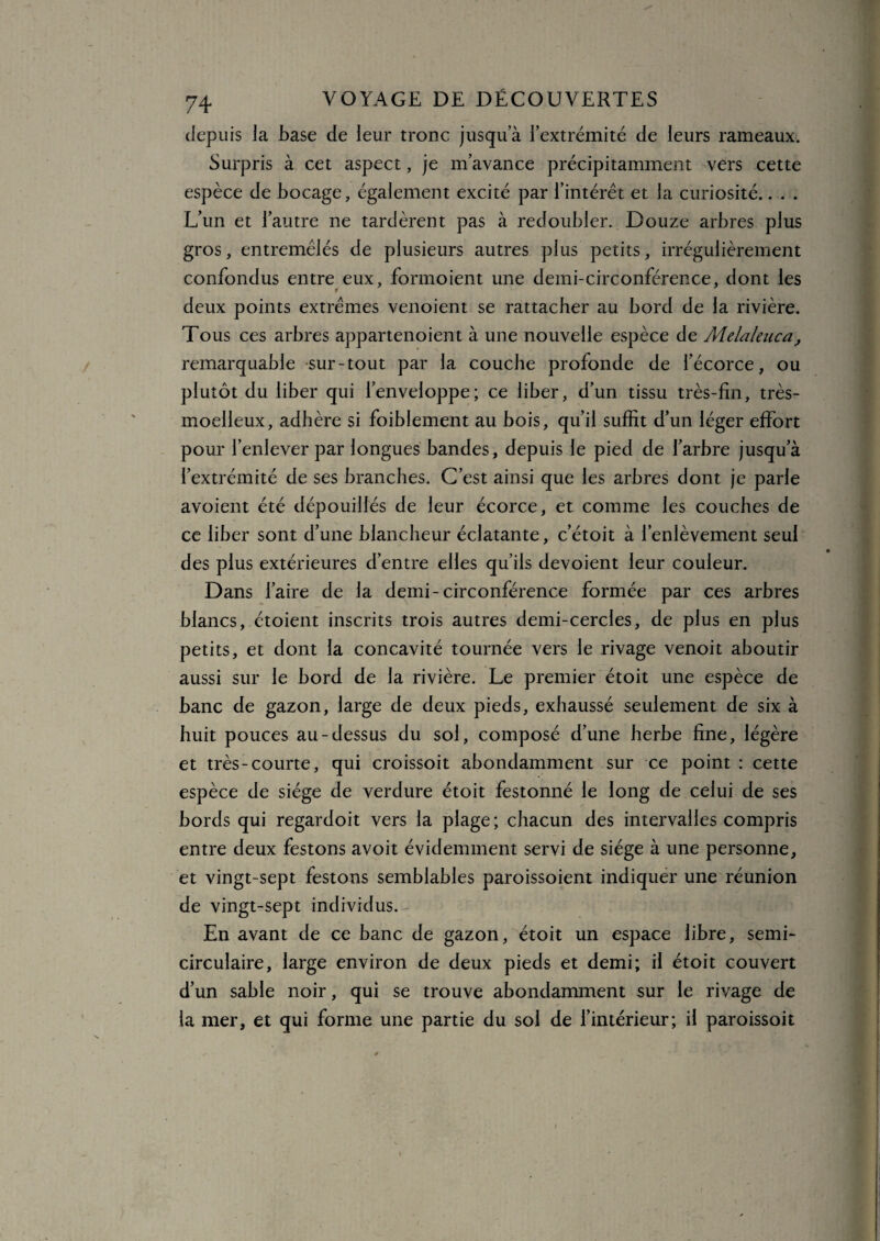 depuis la base de leur tronc jusqua l’extrémité de leurs rameaux. Surpris à cet aspect, je m’avance précipitamment vers cette espèce de bocage, également excité par l’intérêt et la curiosité.. . . L’un et l’autre ne tardèrent pas à redoubler. Douze arbres plus gros, entremêlés de plusieurs autres plus petits, irrégulièrement confondus entre eux, formoient une demi-circonférence, dont les » deux points extrêmes venoient se rattacher au bord de la rivière. Tous ces arbres appartenoient à une nouvelle espèce de Mclaleuca, remarquable sur-tout par la couche profonde de l’écorce, ou plutôt du liber qui l’enveloppe; ce liber, d’un tissu très-fin, très- moelleux, adhère si foiblement au bois, qu’il suffit d’un léger effort pour l’enlever par longues bandes, depuis le pied de l’arbre jusqu’à l’extrémité de ses branches. C’est ainsi que les arbres dont je parle avoient été dépouillés de leur écorce, et comme les couches de ce liber sont d’une blancheur éclatante, c’étoit à l’enlèvement seul des plus extérieures d’entre elles qu’ils dévoient leur couleur. Dans faire de la demi-circonférence formée par ces arbres blancs, étoient inscrits trois autres demi-cercles, de plus en plus petits, et dont la concavité tournée vers le rivage venoit aboutir aussi sur le bord de la rivière. Le premier étoit une espèce de banc de gazon, large de deux pieds, exhaussé seulement de six à huit pouces au-dessus du sol, composé d’une herbe fine, légère et très-courte, qui croissoit abondamment sur ce point : cette espèce de siège de verdure étoit festonné le long de celui de ses bords qui regardoit vers la plage; chacun des intervalles compris entre deux festons avoit évidemment servi de siège à une personne, et vingt-sept festons semblables paroissoient indiquer une réunion de vingt-sept individus.- En avant de ce banc de gazon, étoit un espace libre, semi- circulaire, large environ de deux pieds et demi; il étoit couvert d’un sable noir, qui se trouve abondamment sur le rivage de la mer, et qui forme une partie du sol de l’intérieur; il paroissoit