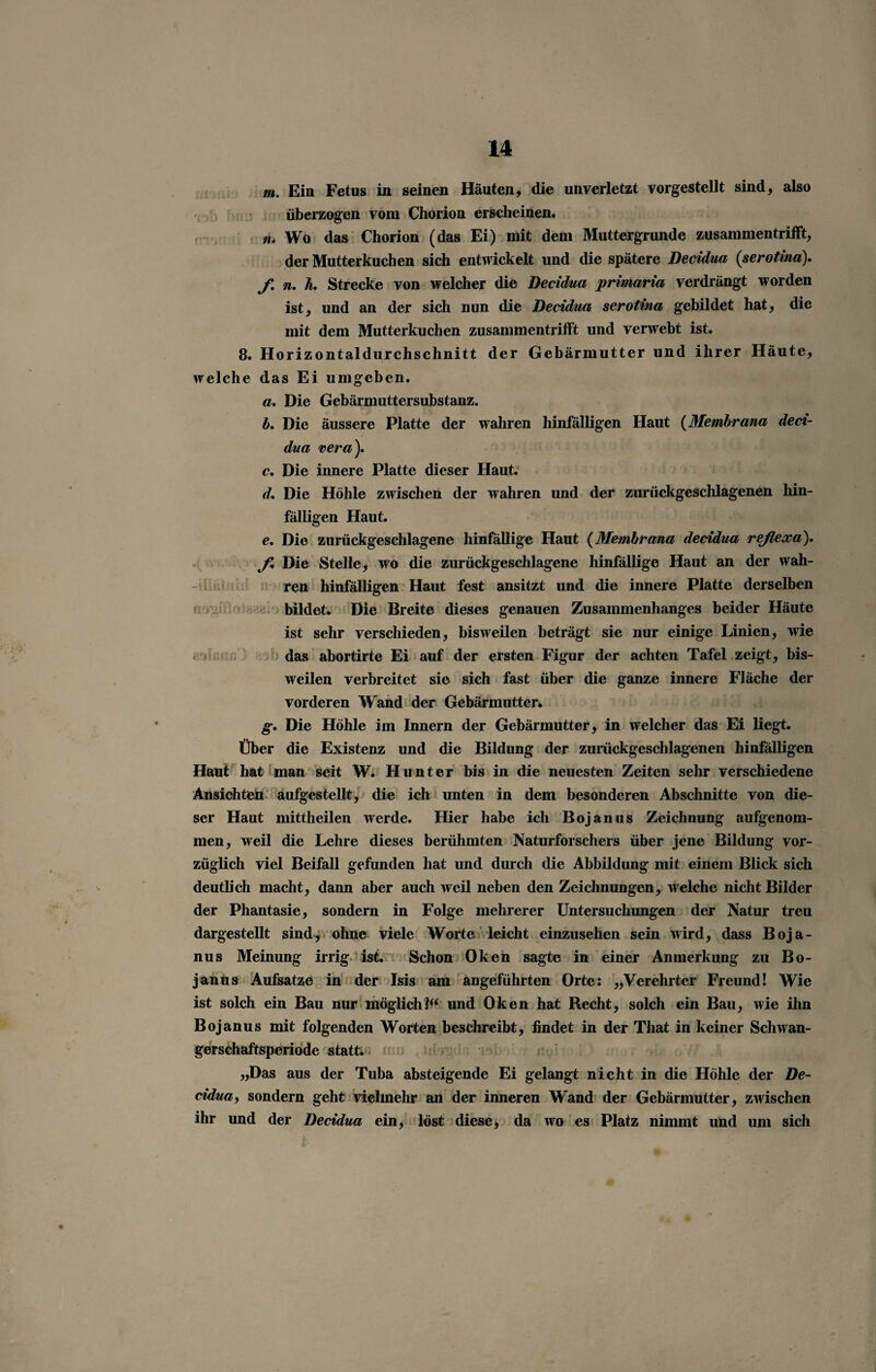 m. Ein Fetus in seinen Häuten, die unverletzt vorgestellt sind, also überzogen vom Chorion erscheinen. n. Wo das Chorion (das Ei) mit dem Muttergrunde zusammentrifft, der Mutterkuchen sich entwickelt und die spätere Decidua (serotind). f. n. k. Strecke von welcher die Decidua primaria verdrängt worden ist, und an der sich nun die Decidua serotina gebildet hat, die mit dem Mutterkuchen zusammentrifft und verwebt ist. 8. Horizontaldurchschnitt der Gebärmutter und ihrer Häute, welche das Ei umgeben. a. Die Gebärmuttersubstanz. b. Die äussere Platte der wahren hinfälligen Haut (Membrana deci¬ dua vera). c. Die innere Platte dieser Haut. d. Die Höhle zwischen der wahren und der zurückgeschlagenen hin¬ fälligen Haut. e. Die zurückgeschlagene hinfällige Haut (Membrana decidua reßexa). f. Die Stelle, wo die zurückgeschlagene hinfällige Haut an der wah¬ ren hinfälligen Haut fest ansitzt und die innere Platte derselben bildet. Die Breite dieses genauen Zusammenhanges beider Häute ist sehr verschieden, bisweilen beträgt sie nur einige Linien, wie das abortirte Ei auf der ersten Figur der achten Tafel zeigt, bis¬ weilen verbreitet sie sich fast über die ganze innere Fläche der vorderen Wand der Gebärmutter. g. Die Höhle im Innern der Gebärmutter, in welcher das Ei liegt. Über die Existenz und die Bildung der zurückgeschlagenen hinfälligen Haut hat man seit W. Hunter bis in die neuesten Zeiten sehr verschiedene Ansichten aufgestellt, die ich unten in dem besonderen Abschnitte von die¬ ser Haut mittheilen werde. Hier habe ich Bojanus Zeichnung aufgenom¬ men, weil die Lehre dieses berühmten Naturforschers über jene Bildung vor¬ züglich viel Beifall gefunden hat und durch die Abbildung mit einem Blick sich deutlich macht, dann aber auch weil neben den Zeichnungen, welche nicht Bilder der Phantasie, sondern in Folge mehrerer Untersuchungen der Natur treu dargestellt sind, ohne viele Worte leicht einzusehen sein wird, dass Boja¬ nus Meinung irrig ist. Schon Oken sagte in einer Anmerkung zu Bo¬ janus Aufsatze in der Isis am angeführten Orte: „Verehrter Freund! Wie ist solch ein Bau nur möglich!“ und Oken hat Recht, solch ein Bau, wie ihn Bojanus mit folgenden Worten beschreibt, findet in der That in keiner Schwan¬ gerschaftsperiode statt. „Das aus der Tuba absteigende Ei gelangt nicht in die Höhle der De¬ cidua, sondern geht vielmehr an der inneren Wand der Gebärmutter, zwischen ihr und der Decidua ein, löst diese, da wo es Platz nimmt und um sich