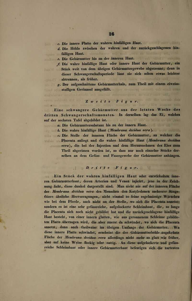 c. Die innere Platte der wahren hinfälligen Haut. d. Die Höhle zwischen der wahren und der zurückgeschlagenen hin¬ fälligen Haut. e. Die Gebärmutter bis zu der inneren Haut. f. Die wahre hinfällige Haut oder innere Haut der Gebärmutter, ein Stück weit von dem übrigen Gebärmuttergewebe abgetrennt; denn in dieser Schwangerschaftsperiode lässt sie sich schon etwas leichter abtrennen, als früher. g-. Der aufgeschnittene Gebärmutterhals, zum Theil mit einem eiweiss- stoffigen Gerinnsel ausgefüllt. Zweite Figur. • , . - * 'ii Eine schwangere Gebärmutter aus der letzten Woche des dritten Schwangerschaftsmonates. In derselben lag das Ei, welches auf der sechsten Tafel abgebildet ist. a. Die Gebärmuttersubstanz bis zu der innern Haut. b. Die wahre hinfällige Haut (Membrana decidua vera). c. Die Stelle der inneren Fläche der Gebärmutter, an welcher die Placenta anliegt und die wahre hinfällige Haut (Membrana decidua vera)y die bei der Injection und dem Herausnehmen des Eies zum Theil abgerissen worden ist, so dass nur noch einzelne Stücke der¬ selben an dem Gefäss- lind Fasergewebe der Gebärmutter anhängen. Dritte Figur. Ein Stück der wahren hinfälligen Haut oder entwickelten inne¬ ren Gebärmutterhaut, deren Arterien und Venen injicirt, jene in der Zeich¬ nung licht, diese dunkel dargestellt sind. Man sieht nie auf der inneren Fläche der Membrana decidua vera des Menschen den Kotyledonen mehrerer Säuge- thiere ähnliche Hervorragungen, nicht einmal so feine regelmässige Wärzchen wie bei dem Pferde, auch nicht an der Stelle, wo sich die Placenta ansetzt; sondern es ist eine sehr gefässreiche, aufgelockerte Schleimhaut, die, so lange die Placenta sich noch nicht gebildet hat und die zurückgeschlagene hinfällige Haut besteht, von einer innern glatten, wie aus geronnenem Schleime gebilde¬ ten Platte überzogen wird, die aber zuerst da schwindet, wo sich die Placenta ansetzt, dann auch theil weise im übrigen Umfange der Gebärmutter. Wo diese innere Platte schwindet, erscheint die der Gebärmutterhöhle zugekehrte Fläche der Membrana decidua vera allerdings nicht mehr so glatt wie früher, aber auf keine Weise flockig oder zottig. An diese aufgelockerte und gefäss¬ reiche Schleimhaut oder innere Gebärmutterhaut befestigen sich die zartesten