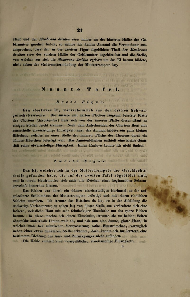 Haut und der Membrana decidua vera immer an der hinteren Hälfte der Ge¬ bärmutter gesehen haben , so nehme ich keinen Anstand die Vermuthung aus¬ zusprechen, dass der in der zweiten Figur abgebildete Theil der Membrana decidua vera der vordem Hälfte der Gebärmutter angehört hat und die Stelle, von welcher aus sich die Membrana decidua refiexa um das Ei herum bildete, nicht neben der Gebärmuttermündung der Muttertrompete lag. Neunte Tafel. Erste Figur. Ein abortirtes Ei, wahrscheinlich aus der dritten Schwan¬ gerschaftswoche. Die äussere mit zarten Flocken ringsum besetzte Platte des Chorions (Exocliorion) liess sich von der inneren Platte dieser Haut an einigen Stellen leicht trennen. Nach dem Aufschneiden des Chorions floss eine wasserhelle eiweissstoffige Flüssigkeit aus; das Amnion bildete ein ganz kleines Bläschen, welches an einer Stelle der inneren Fläche des Chorions durch ein dünnes Häutchen befestigt war. Das Amnionbläschen enthielt eine kleine Quan¬ tität reine eiweissstoffige Flüssigkeit. Einen Embryo konnte ich nicht finden. lrtA fTAftivuiti IS f ...‘.wl i, ,. i . Jf),f i.,' I . .! 1 ’!/ M, ... * * iA » s < i > * ! .* • t T dlinrnifl f . )W J *> > . flfil t Zweite F i g u r. Das Ei, welches ich in der Muttertrompete der Geschlechts- theile gefunden habe, die auf der zweiten Tafel abgebildet sind, und in deren Gebärmutter sich auch alle Zeichen einer beginnenden Schwan¬ gerschaft bemerken liessen. Das Eichen war durch ein dünnes eiweissstoffiges Gerinnsel an die auf¬ gelockerte Schleimhaut der Muttertrompete befestigt und mit einem röthlichen Schleim umgeben. Ich trennte das Bläschen da los, wo in der Abbildung die stielartigc Verlängerung zu sehen ist; von dieser Stelle aus verbreitete sich eine lockere, weissliche Haut mit sehr feinflockiger Oberfläche um das ganze Eichen herum. In diese machte ich einen Einschnitt, trennte sie zu beiden Seiten ohngefähr anderthalb Linien weit ab, und sah nun eine dünne, glatte Haut, in welcher man bei zehnfacher Vergrösserung rothe Blutströmchen, vorzüglich neben einer etwas dunkleren Stelle erkannte, doch konnte ich für letztere eine bestimmte Richtung des Aus- und Zurückganges nicht auffinden. Die Höhle enthielt eine weissgelbliche, eiweissstoffige Flüssigkeit. 6