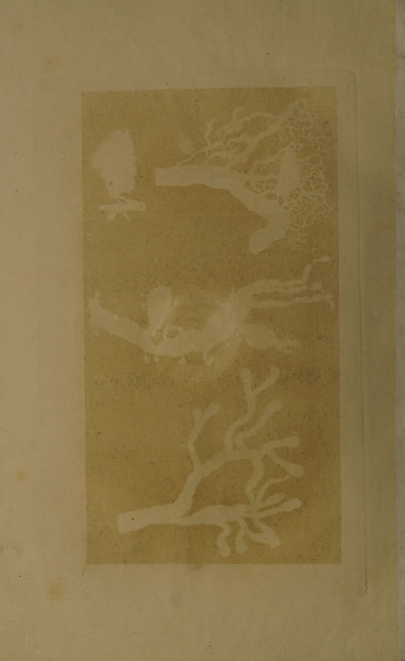 /•< «’V* . t . . *• ■ ■■■ ' , ..■■ ■■ V: • • t - • * .■v ' * - . ; ai'/ tjfe&r ' J . J.. 4;' , 'm'- ' -• ■ ■ •:. i ‘ ■