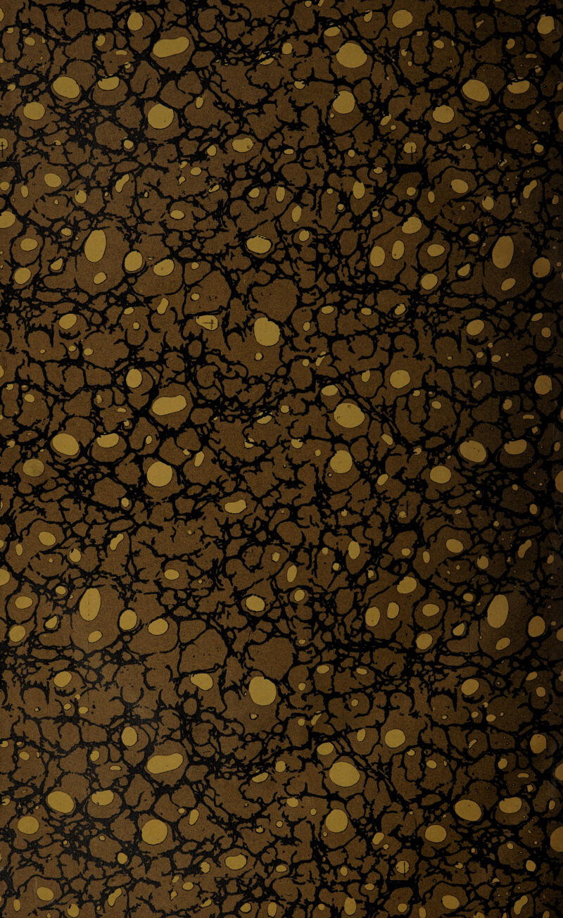 \\ NJ wi|A Jl I _ kv. * v jn \ \ I _7m» gkJU/«i t \ ^ #■/ MQ. Uttf \ ä,ip^ ^ r\ i V V 1c 1 jrY