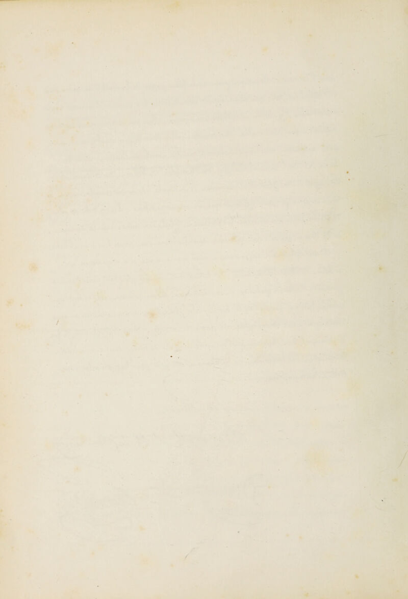 ^ « < '• i-''il *•:. •? fl /f. \t ^ * t ■ '•Tte v> ^ •>» V • TP . : i* ■^5 • V .* *i ■• .1 »; '><• / ' ' ' -. ■ ; k n • lü Ir ♦. •. s»- r 0^ • / / ■T? •A. • -i - 4Vl rm^ m ^