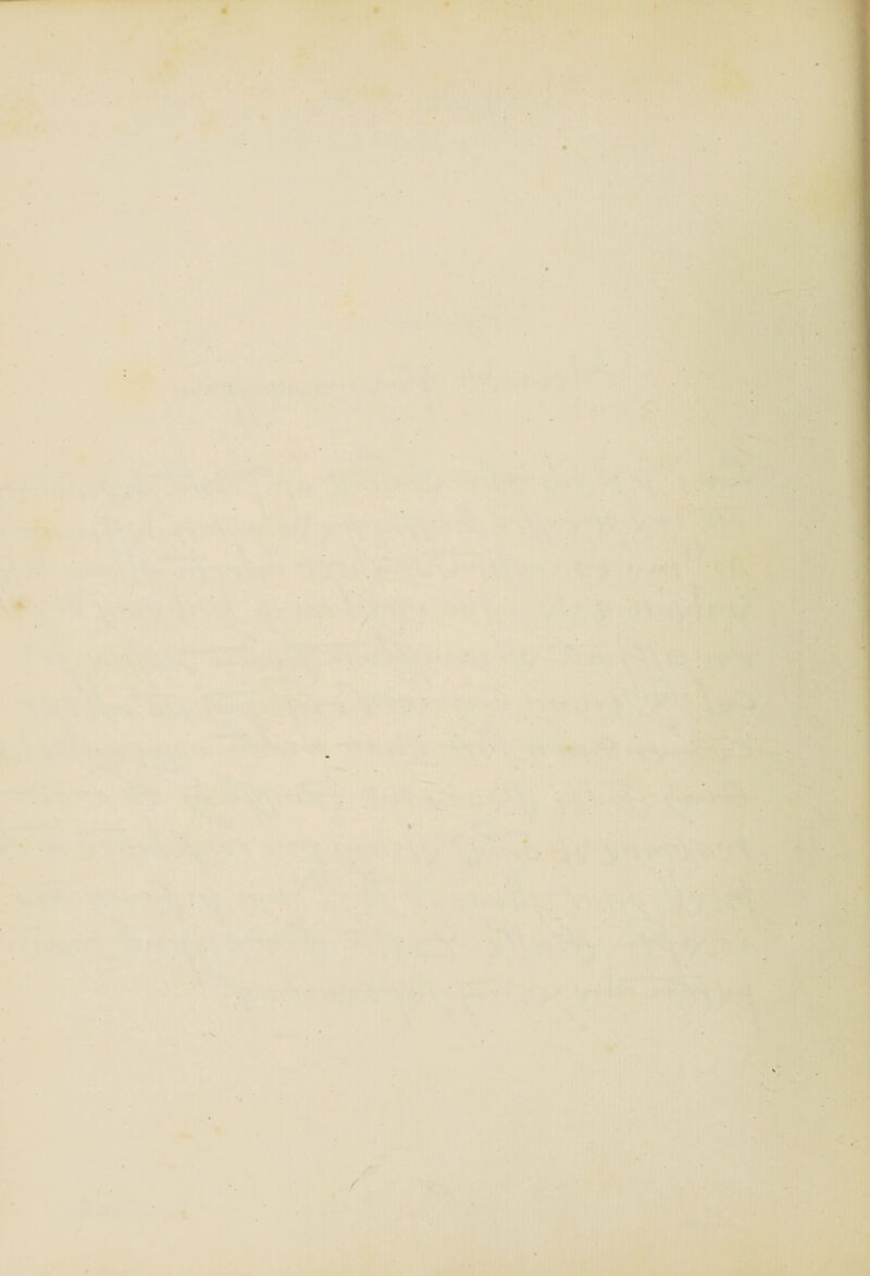 « ' •. \ : ■' • t- l Si