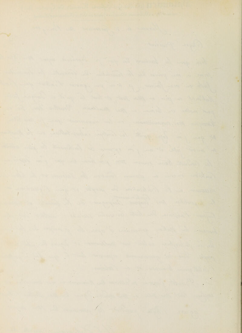 H» -I ' . * • • ' JC.f- \ ■ i •4- ' - - * ' ' I. k ' '* U \ V , •■ * «.. . 11 ■’ V ; •: ' 'Ci 1* r\ » %\i i'-* H M > -l i -•-** '> ■ '* . k ^ ^ ^ ■ J* * * • ' \ ■» • ■ ' . *. •n C- J ‘ ’. (O,. , -'«H >>...1 \' À P-::’' 4 • ■ ' • *> N ., - '• • - \ -■ ■■ ^ M ‘ , • P -i \. ■;-v ,’ \ - A » » ’. ■' P ,1 • t» V,1 tii.-.'.: >■ > ' ^ i .V; v'. 'v'»-*'. • 1 /r A 5V^ A'' ' » ( <' \'.v^ '■■N* '» '* * •^*v.* V’^ ’ >'■ > *rk .. ‘f 'Jlifii. ». > ^ • ’•■ • 4. ■\ A- ' ■ VI ) '3 :w • ‘ «-1 • :-T~ -■ >. S.. <• •• - s «Ik •\/ / /« / J