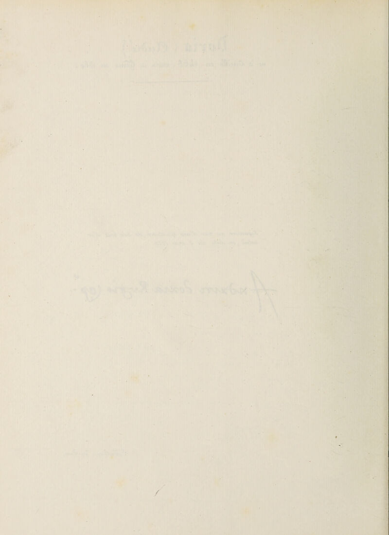 ■ ^ t . ;. . , V-'i: 'lA ^ -.M ^ S t- I- ■}i^À » ' • • I • 1* ï' - rr.* . '\ V.V‘0 ' • S^ Tditwi» . ^*.\> ... . / ■; ;v ^■1* ,; * 1 ■ rf,*Æ IN *1 yj n / / ' « A -v ! V t : r •• 3 v«. n i sj'rr xô-W if U . ♦ '>' ',i?/' • > 'W* ;-v:; ^ •* I %f\» *! V :)^3 '•'■j J ■<| ■f ( J .!• 1 ' I ^'.Î[y ^ .«>1