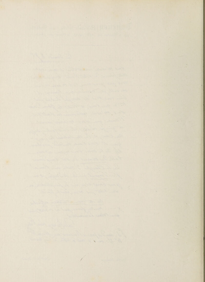 f • Jf n7' .W- W', :• 'n, f t 'VX \ -•' ■ \ w » . .. V . - * \ ■ . ”S - . _ “N .' y.'' *• ■'■. >»• J ^4 ^TP .‘ ' r • i * *■ t ■ ,--Ï ■ ’ - r' ‘ •• - ■ -A y ' ^ <■ ■ - - . ' V;i , , 1 ' \. • - - - . . * c * . \ ' v ' • ■ ■s . ;* '■ '^• 4 • ; • V ' ' , > '■*,• > •. , w. . i-..‘ ' -, . ' • , ■• <. <*-»*■ r . ■ ■ ' ■ / ...V ’’ . * Â ■ • ■ V . ■ V- ■• . . ,v- -■* • N ' \ ', • t ■■ ; ■ ■ . ^ V ' ■ “ > ^ « 1 • ^ '•- \ - . ■ f •  .î '» 1 '< ‘ >4 ’. k • è X ', \.. - ' t • ** 4 4 ♦ \ Vj . - - • , . . ',.*>5*. _i .Ci».' l. * -f . k V VS * • '.>■:■■ V' ' f à ■i* '‘ Ni f - . ,- *1 ^•■ * • . r -\ •. - -V ' ••: • * • • ■ f ■ - ..1 ; * 4 . j# •éf^ ' ’Jm - '’ i '. *  ■ . • ' . f . —^ • « -* -r- : ' ■ .. N' :\ '. ' • * V ' ..ir * • ' ■ V- * ■# ^ • i ' . <* r . • V* - . . • . 1 • ' V ;;- , J V. -J^ • ^ * »' • N • . ■ _/ ‘ » l' ,* ■«.'»' ^ ^ ^ :... .-P- V* *■-*'. • .•. • 4 4 * ' . - 1 •. *.' •»v c > • '■ I- •’ *î ' ■-» •■ • , • • . • - ' l ■ ■ *' * .. • ■ >V > k K \ -V . smk T, ■ v > \ 1 -••XV» V. '■‘. V - jt. ‘ „ -VS l / / ' -