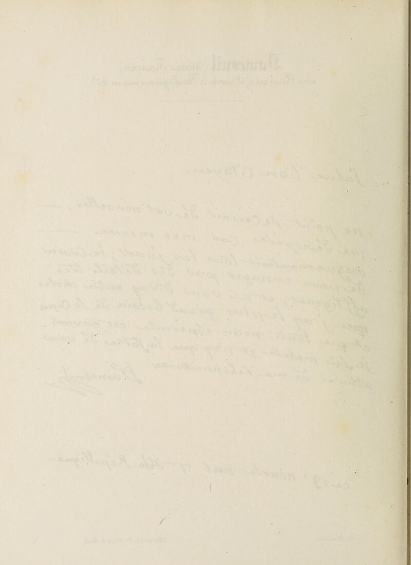■ 'T • . w4 . ' V 'V ** .*vCi '»i /. jt ■'■.'tîi S-1 )/ î tVi r-;,/.* r. ;. ^';î ■’V ■'. .'• -., . • , _ ) O ' f y r. » - » • 1) ■V 1 V f / f^,l a,i ■■' ./•• ...'îV