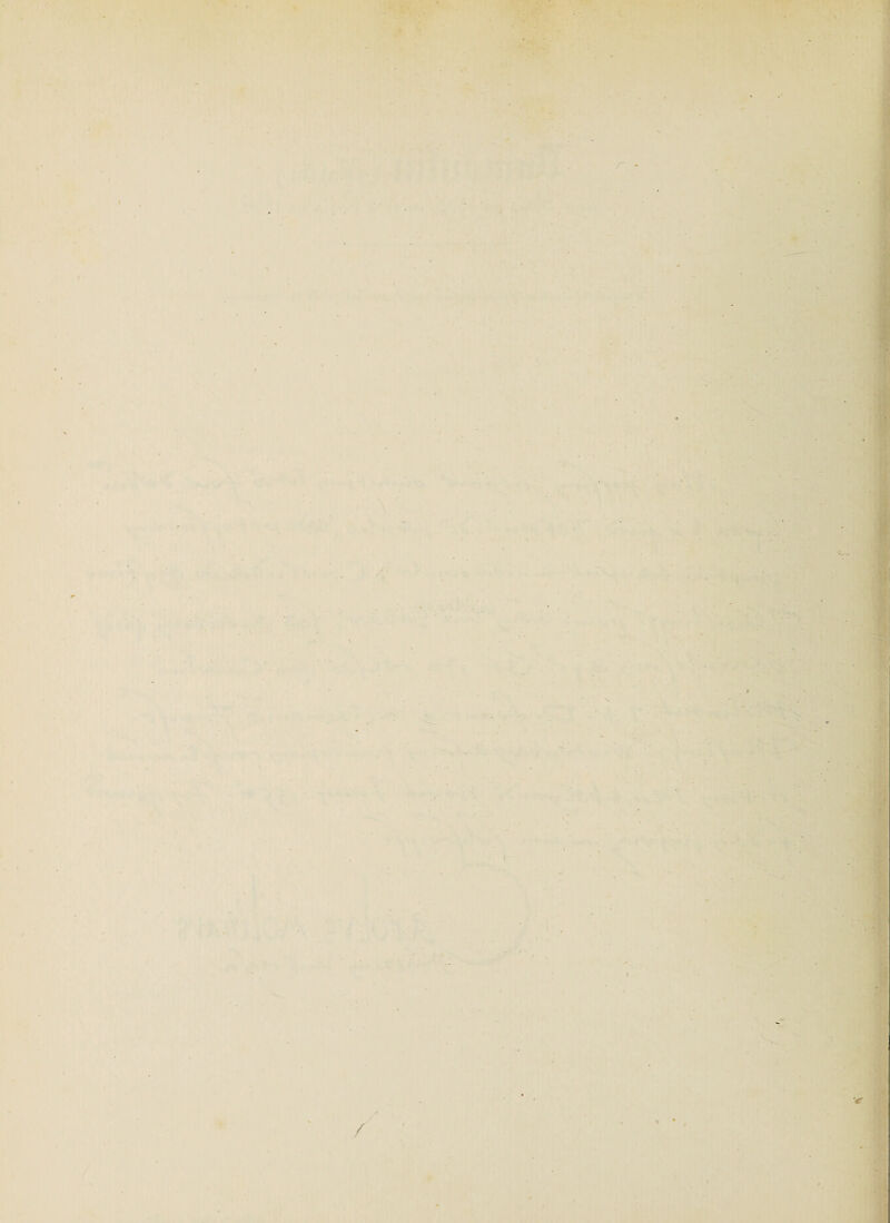 V f •! f i J ^ ^ t V % , f I \ I • i - r’i i ' y s. V V \ i / P ». ! :■] 'r -♦ / /