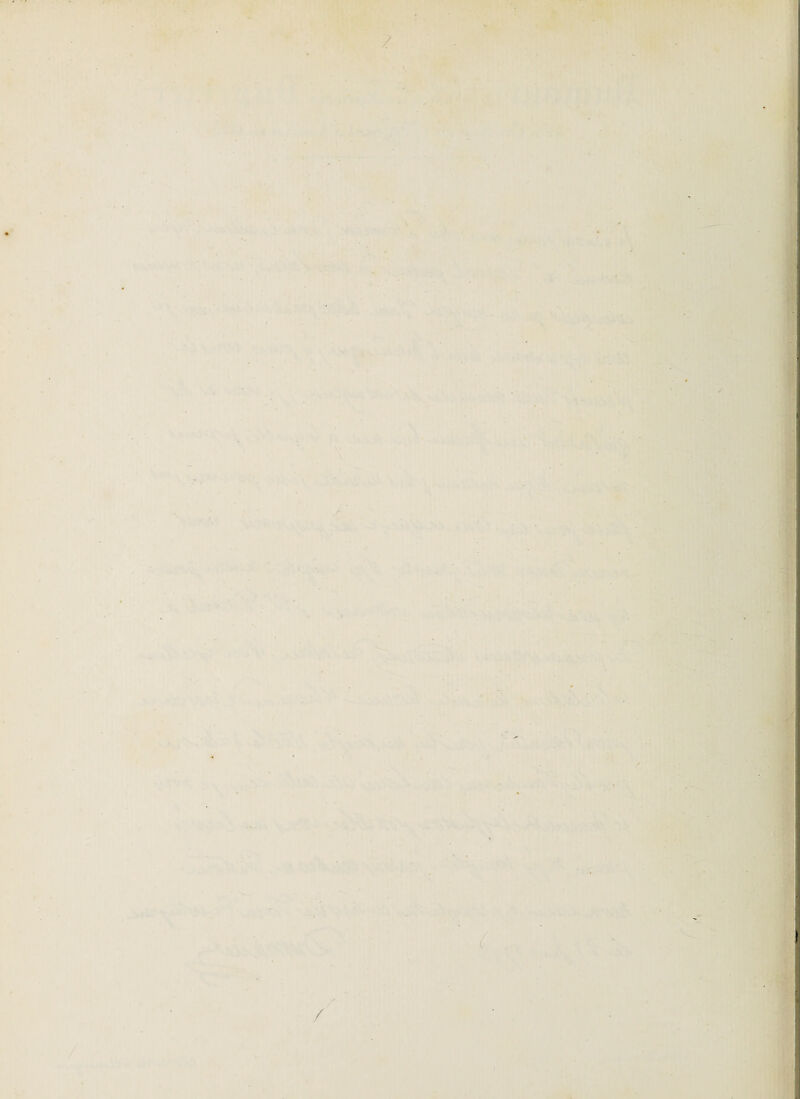 1 iFr' I P,** 1 V \ / 'i v . ►•*•. . l' . 4 / » S % .41 ^ • ') *•> «* • I • V « >w’ % a i f f Fk.sWk*., \v, ; . V' ; '•-'‘Ÿt 4 . W ■ ^ ; • 1 •• k-V; » * '4 '* “ , ■ -'Ü, . 1,'i ■• :>V ^ •'■< * P •î t