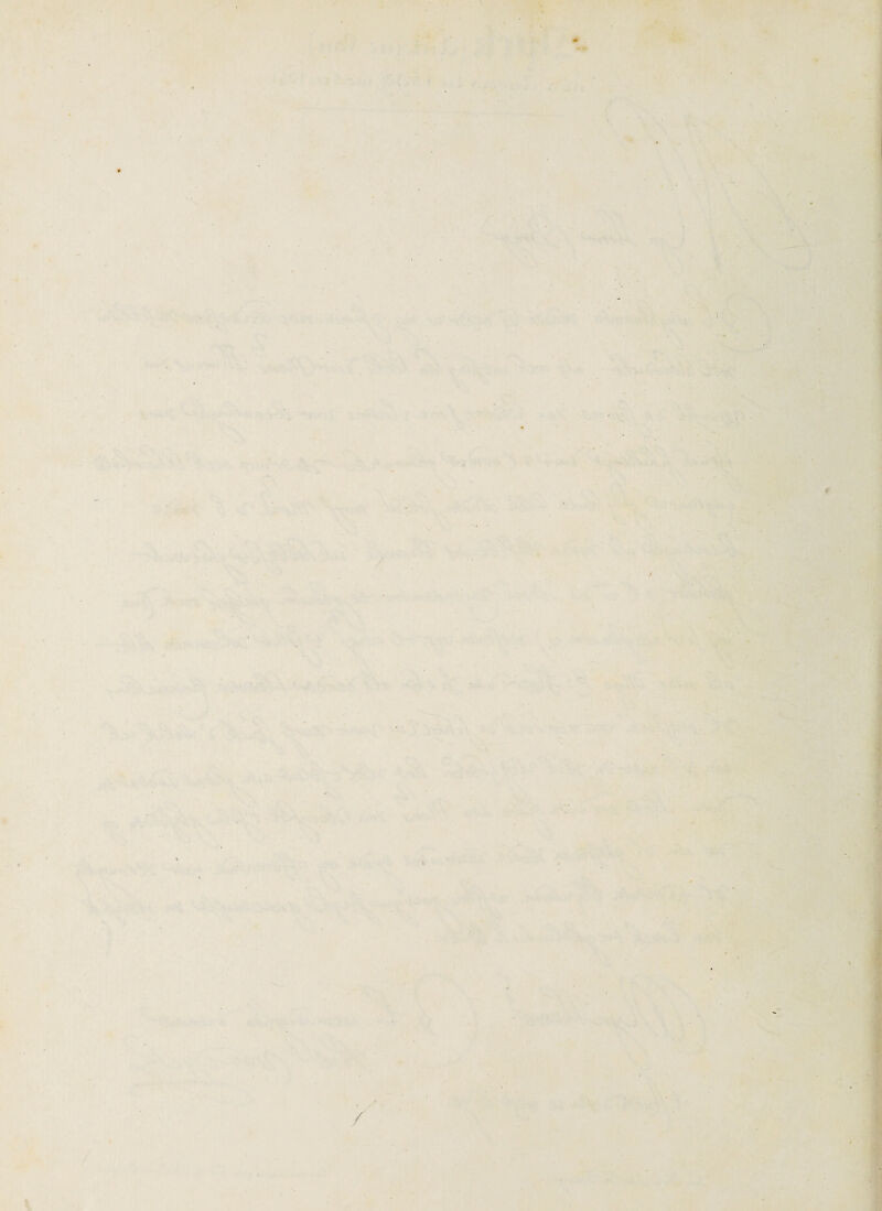 t '-’-v wrm « 'pr J * r'’ »- r. »*i» ■ ■ ■ . r / , Vf V#. t v-^ ■ ? •. *< • ’t . V'^'^ ■ h * • > V. t t,. 1 1-. ‘ ' ■ ^ V V • ^ y\ u' J ♦ •* ,v ^ ^ ^ t > ^ *s. '■ > •> > ,* K “ .h. • VT ’?0 • ,' •< ,i ' >■ ‘i v.. '. :% rn \ ■ t. '%<Ss S.. Ai- V \ \ vXi- • N '!'• . .:^ i-J - .C *>•>• A •w^. Vi 1. iV . .''•' 'r. ■< • ,,.. •’, ■ K\i4 * “ .■’S '■V. 9 •ÜS ■ 'à ■■ •TÏ’rN«i*Ç ■ ’ . (. r » aTr.VV'ü^'iV'*?-^ '■ . 'N ' i.v 1 ' '. ■*‘S-- 1 » ' *’'v- ”' * ' ^'^- '. \ '^ ■/ ’ ^ ^ V‘ï•?^ t\ V. K [T^jA, i' ' ■•>- VV-.-' . ../' ^'V.. • • '. wî' s vtH' fi4^y •- • •H. S: •'^ 4- I '-I . s^'- .; .>VV .'l •. l'.. ’U.t:' - - ». ' '• '// *' ' 4 1,',' ;,>pe»s v w.yVi.T îT^' V '4, V .L:.i ’m. * * '^» ' ' ' ^i . # • -A / \\- •'À \ . ■ 4''- ■■' ■ i. ■ V. ■ - . A. r A. t4 ai