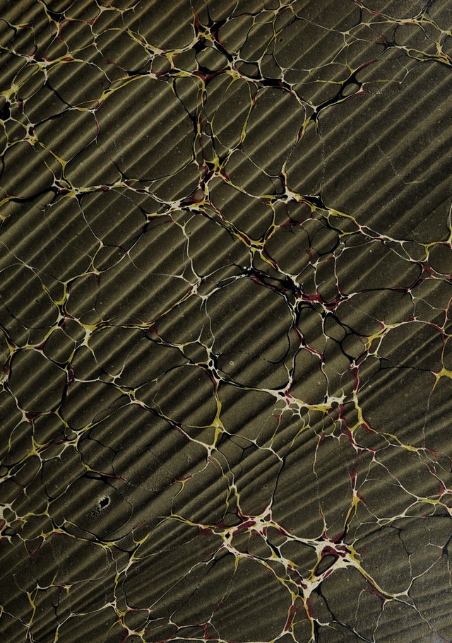 No text description is available for this image