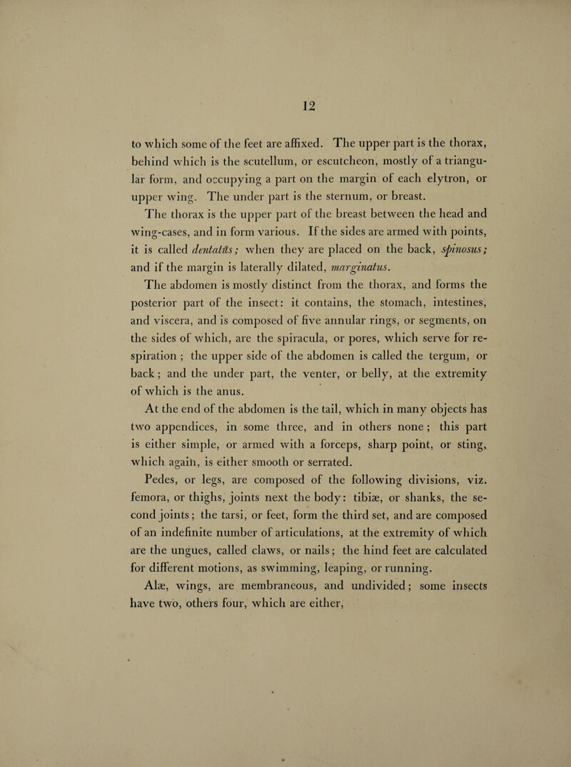 to which some of the feet are affixed. The upper part is the thorax, behind which is the scutellum, or escutcheon, mostly of a triangu¬ lar form, and occupying a part on the margin of each elytron, or upper wing. The under part is the sternum, or breast. The thorax is the upper part of the breast between the head and wing-cases, and in form various. If the sides are armed with points, it is called dentatils ; when they are placed on the back, spinosus; and if the margin is laterally dilated, marginatus. The abdomen is mostly distinct from the thorax, and forms the posterior part of the insect: it contains, the stomach, intestines, and viscera, and is composed of five annular rings, or segments, on the sides of which, are the spiracula, or pores, which serve for re¬ spiration ; the upper side of the abdomen is called the tergum, or back ; and the under part, the venter, or belly, at the extremity of which is the anus. At the end of the abdomen is the tail, which in many objects has two appendices, in some three, and in others none ; this part is either simple, or armed with a forceps, sharp point, or sting, which again, is either smooth or serrated. Pedes, or legs, are composed of the following divisions, viz. femora, or thighs, joints next the body: tibiae, or shanks, the se¬ cond joints ; the tarsi, or feet, form the third set, and are composed of an indefinite number of articulations, at the extremity of which are the ungues, called claws, or nails ; the hind feet are calculated for different motions, as swimming, leaping, or running. Alas, wings, are membraneous, and undivided ; some insects have two, others four, which are either,