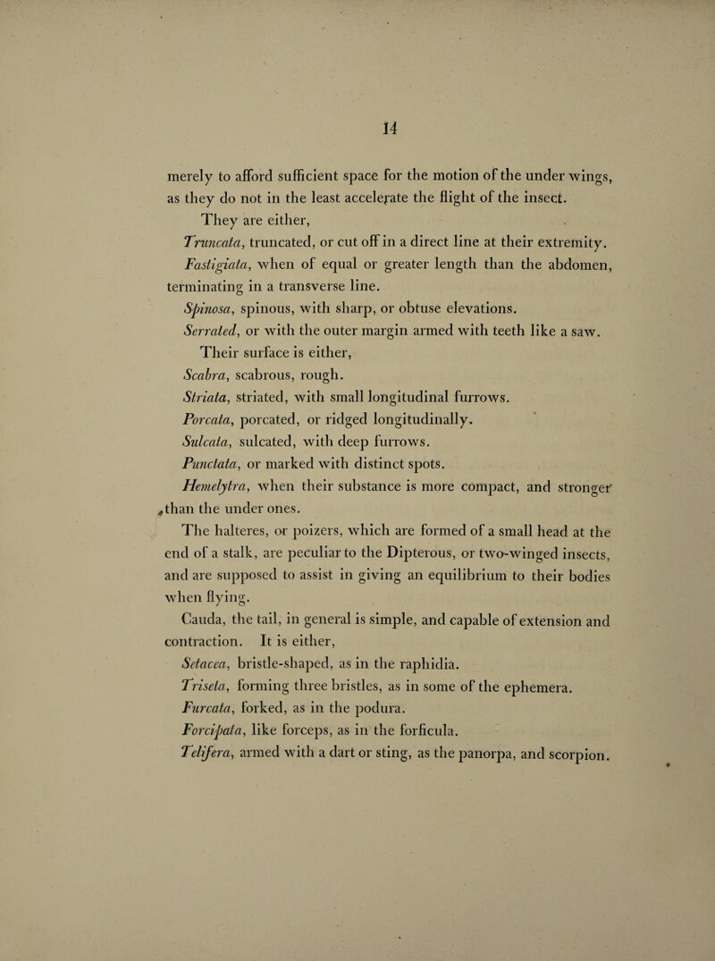 merely to afford sufficient space for the motion of the under wings, as they do not in the least accelerate the flight of the insect. They are either, Truncata, truncated, or cut off in a direct line at their extremity. Fastigiata, when of equal or greater length than the abdomen, terminating in a transverse line. Spinosa, spinous, with sharp, or obtuse elevations. Serrated, or with the outer margin armed with teeth like a saw. Their surface is either, Scabra, scabrous, rough. Striata, striated, with small longitudinal furrows. Porcata, porcatecl, or ridged longitudinally. Sulcata, sulcated, with deep furrows. Punctata, or marked with distinct spots. Hemelytra, when their substance is more compact, and stronger 4than the under ones. The halteres, or poizers, which are formed of a small head at the end of a stalk, are peculiar to the Dipterous, or two-winged insects, and are supposed to assist in giving an equilibrium to their bodies when flying. Cauda, the tail, in general is simple, and capable of extension and contraction. It is either, Setacea, bristle-shaped, as in the raphidia. Triseta, forming three bristles, as in some of the ephemera. Furcata, forked, as in the podura. Forcipata, like forceps, as in the forficula. Telifera, armed with a dart or sting, as the panorpa, and scorpion.