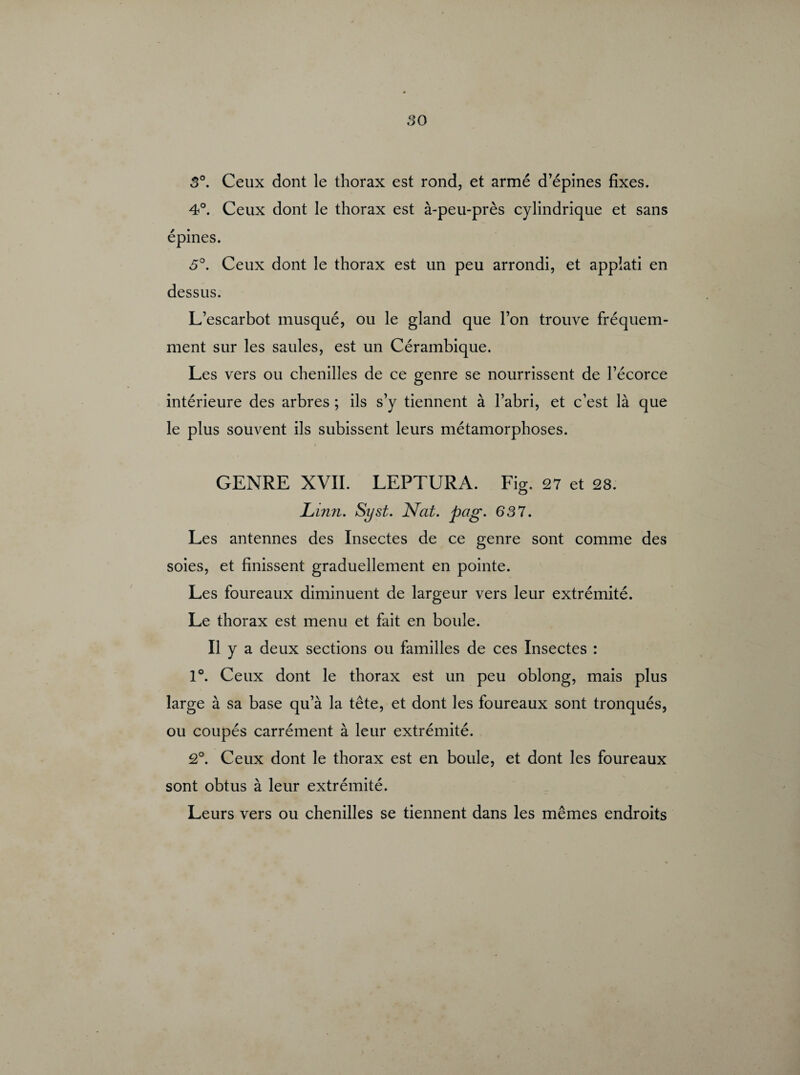 3°. Ceux dont le thorax est rond, et armé d’épines fixes. 4°. Ceux dont le thorax est à-peu-près cylindrique et sans épines. 5°. Ceux dont le thorax est un peu arrondi, et applati en dessus. L’escarbot musqué, ou le gland que l’on trouve fréquem¬ ment sur les saules, est un Cérambique. Les vers ou chenilles de ce genre se nourrissent de l’écorce intérieure des arbres ; ils s’y tiennent à l’abri, et c’est là que le plus souvent ils subissent leurs métamorphoses. GENRE XVII. LEPTURA. Fig. 27 et 28. Lin?i. Syst. Nat. pag. 63 7. Les antennes des Insectes de ce genre sont comme des soies, et finissent graduellement en pointe. Les foureaux diminuent de largeur vers leur extrémité. Le thorax est menu et fait en boule. Il y a deux sections ou familles de ces Insectes : 1°. Ceux dont le thorax est un peu oblong, mais plus large à sa base qu’à la tête, et dont les foureaux sont tronqués, ou coupés carrément à leur extrémité. 2°. Ceux dont le thorax est en boule, et dont les foureaux sont obtus à leur extrémité. Leurs vers ou chenilles se tiennent dans les mêmes endroits