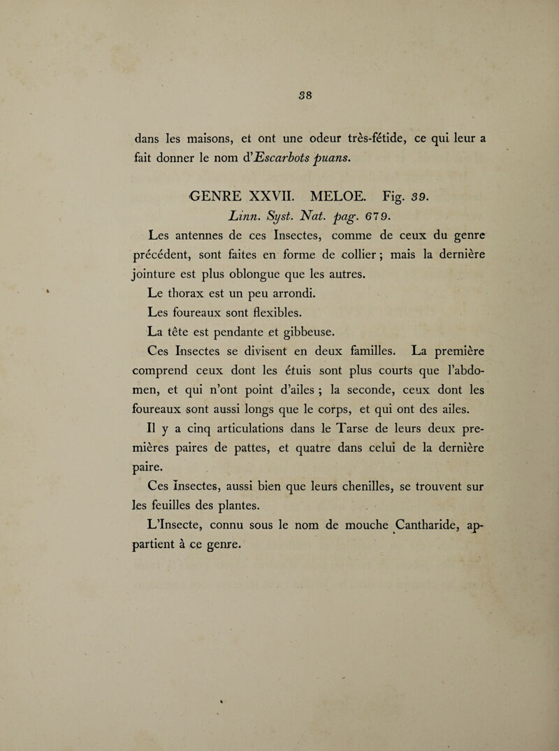 dans les maisons, et ont une odeur très-fétide, ce qui leur a fait donner le nom d'Escarbots puans. GENRE XXVII. MELOE. Fig. 39. JLinn. Syst. Nat. pag. 679. Les antennes de ces Insectes, comme de ceux du genre précédent, sont faites en forme de collier ; mais la dernière jointure est plus oblongue que les autres. Le thorax est un peu arrondi. Les foureaux sont flexibles. La tête est pendante et gibbeuse. Ces Insectes se divisent en deux familles. La première comprend ceux dont les étuis sont plus courts que l’abdo¬ men, et qui n’ont point d’ailes ; la seconde, ceux dont les foureaux sont aussi longs que le corps, et qui ont des ailes. Il y a cinq articulations dans le Tarse de leurs deux pre¬ mières paires de pattes, et quatre dans celui de la dernière paire. Ces Insectes, aussi bien que leurs chenilles, se trouvent sur les feuilles des plantes. L’Insecte, connu sous le nom de mouche Cantharide, ap¬ partient à ce genre.
