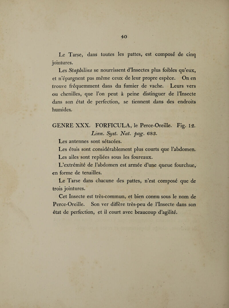 Le Tarse, dans toutes les pattes, est composé de cinq jointures. Les Staphilins se nourrissent d’insectes plus foibles qu’eux, et n’épargnent pas même ceux de leur propre espèce. On en trouve fréquemment dans du fumier de vache. Leurs vers ou chenilles, que l’on peut à peine distinguer de l’Insecte dans son état de perfection, se tiennent dans des endroits humides.» GENRE XXX. FORFICULA, le Perce-Oreille. Fig. 12. JLinn. Syst. Nat. pag. 683. Les antennes sont sétacées. Les étuis sont considérablement plus courts que l’abdomen. Les ailes sont repliées sous les foureaux. L’extrémité de l’abdomen est armée d’une queue fourchue, en forme de tenailles. Le Tarse dans chacune des pattes, n’est composé que de trois jointures. Cet Insecte est très-commun, et bien connu sous le nom de Perce-Oreille. Son ver diffère très-peu de l’Insecte dans son état de perfection, et il court avec beaucoup d’agilité.