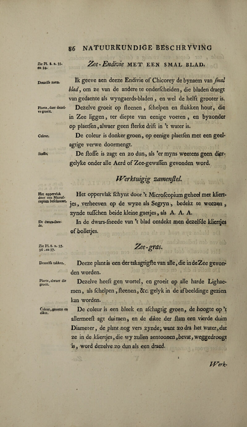 en 34. Deszelfs naem. Plaets, daer dezel¬ ve groeit. Coleur. Stoffe» Het oppervlak door een Microf- cepium befchouwt. De dwars-Cnee- de. Zie PI. 8. n. 35. 36 .en 37. Deszelfs takken.. Plaets, alwaer die groeit. Coleur, grootte dikte. 86 NATUURKUNDIGE BESCHRYViNG * I Ik geeve aen deeze Endivie of Chicorey de bynaem van fmal blad, om ze van de andere te onderfcheiden, die bladen draegt van gedaente als wyngaerds-bladen , en wel de helft grooter is* Dezelve groeit op fteenen , fchelpen en ftukken hout, die in Zee liggen, ter diepte van eenige voeten , en byzonder op plaetfèn, alwaer geen fterke drift in ’t water is» De coleur is donker groen, op eenige plaetfèn met een geel- agtige verwe doormengt. De flofie is zagt en zo dun, als ’er myns weetens geen dier- gelyke onder alle Aerd of Zee-gewaflèn gevonden word. Werkt ui gig zamenjlel. Het oppervlak fchynt door \ Microfcopium gehed met kliert¬ jes , verheeven op de wyze als Segryn, bedekt te weezen , zynde tufïchen beide kleine gaetjes, als A. A. A. In de dwars-fheede van ’t blad ontdekt men dezelfde kliertjes of bolletjes. I » ' » • • .» .. . , * ‘ f . • I ' s • V ; ».r» * • - > . \i fis » Zee-gras* Deeze plantis een der takagtigfte van alle, die in de Zee gevon¬ den worden. Dezelve heeft gen wortel, en groeit op alle harde Lighae* men, als fchelpen, fteenen, &c. gelyk in de afbeeldinge gezien kan worden. De coleur is een bleek en afchagtig groen, de hoogte op ’t allermeeft agt duimen, en de dikte der ftam een vierde duim Diameter, de plant nog vers zynde; want zodra het water,dat ze in de kliertjes,die wy zullen aentoonen, bevat, weggedroogt is, word dezelve zo dun als een draed. tZerk*