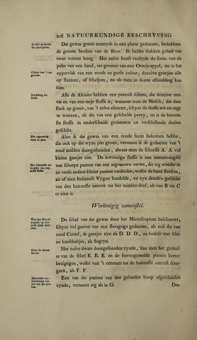 die plant groeit._ Coleur van 't op pervlak. Schikking der ftoffe. Het oppervlak rond en plat. Het binnenfte za- menftel van de«- aelfs ftoffe. Wat het Microf- copium op des- zelfs fchel doet zien. Door de dwars- fneede. Byzondere be- ichryvinge van een van die pun¬ ten. ic6 NATUURKUNDIGE BESCHRYVING de groote hoeken van de Rots. Ik hebbe (tukken gehad van twee voeten hoog. Het zelve heeft veeltyds de Form van de palm van een hand, ter grootte van een Oranje-appel, en is het oppervlak van een roode en geele coleur; dezelve groejen alle op deenen, of fchelpen , zo als men in deeze afbeelding kan zien. Alle de Alcions hebben een poreufê fchors, die dezelve om¬ vat en van een taeje doffe is ; wanneer men de Mofch , die daer flerk op groeit, van ’t zelve afneemt, lchynt de doffe wit en zagt te weezen, als die van een gefchelde porey, en is de binnen- de doffe in onderfcheide gedaenten en verfchillende deelen gefchikt. Alzo ik dat gewas van een ronde form bekomen hebbe, die ook op die wyze plat groeit, vertoone ik de gedaente van ’t rond midden doorgefheeden , alwaer men de fchorflè A. A. vol kleine gaetjes ziet. De inwendige doffe is een zamenvoegfèl van fcherpe punten van een asgraeuwe verwe, die zig weeder in Zo veele andere kleine punten verdeden, welke de hand deeken, als of men Indiaenfè Vygen handelde, en zyn dezelve gefchikt van den buitende omtrek tot het midden-deel, als van B tot C i te zien is. IVerktuïgig zamenfteL De fchel van dat gewas door het Microfcopium befchouwt, fchynt vol gaeten van een deragtige gedaente, als ook die van rood Corael; de gaetjes zyn als D. D. D., en bedekt met klei¬ ne knobbeltjes, als Segryn. Het zelve dwars doorgefheeden zynde, kan men het gedeel¬ te van de fchel E. E. E. en de bovengemelde punten beeter bezigtigen, welke van ’t centrum tot de buitende omtrek door- gaen, als F. F. Een van die punten van den geheelen hoop afgcfcheiden zynde, vertoont zig als in G. Des-