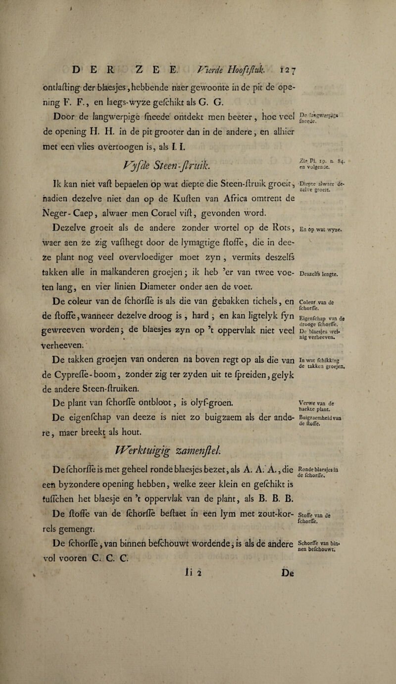 ontlading der blaesjes, hebbende naer gewoonte in de pit de ope- ning F. F., en laegs-wyze gefchikt als G. G. Door de langwerpige fheede ontdekt men beeter, hoe veel de opening H. H. in de pit grooter dan in de andere, en alhier met een vlies övertoogen is, als 1.1. Fyfde Steen -ftruik. Ik kan niet vaft bepaelen op wat diepte die Steen-flruik groeit^ nadien dezelve niet dan op de Kuflen van Africa omtrent de Neger-Caep, alwaer men Corael vili, gevonden word. Dezelve groeit als de andere zonder wortel op de Rots, waer aen ze zig vaflhegt door de Iymagtige doffe, die in dee- Ze plant nog veel overvloediger moet zyn , vermits deszelfs takken alle in malkanderen groejen ; ik heb ’er van twee voe¬ ten lang, en vier linien Diameter onder aen de voet. De coleur van de fchorfle is als die van gebakken tichels, en de ftofFe, wanneer dezelve droog is, hard ; en kan ligtelyk fyn gewreeven worden j de blaesjes zyn op ’t oppervlak niet veel Verheeven. ». ». De takken groejen van onderen na boven regt op als die van de Cypreflè-boom, zonder zig ter zyden uit te fpreiden, gelyk de andere Steen-flruiken. De plant van fchorfle ontbloot, is olyf-groen. De eigenfchap van deeze is niet zo buigzaem ais der ande¬ re , maer breekt als hout. Werktuig}g zamenjleh De fchorffè is met geheel ronde blaesjes bezet, als A. A. A., die een byzondere opening hebben, welke zeer klein en gefchikt is tufïchen het blaesje en ’t oppervlak van de plant, als B. B. B. De flofFe van de fchorfle beflaet in een lym met zout-kor- rels gemengt: De fchorfle, van binnen befchouwt wordende, is als de andere vol vooren C. C. C Ü 2 De De langwerpigs fneede. Zie Pi. 19. n. 84. en volgende. ê Diepte alwaer de¬ zelve groeit. En óp wat wyze. Deszelfs lengte. Coleur van de fchorfle. Eigenfchap van de drooge fchorfle. De blaesjes wei¬ nig verheeven. In wat fchikking de takken groejen. Verwe van de ïiaekte plant. Buigzaemheid van de ftoffe. Ronde blaesjes in de fchorffe. Stoffe van de fchorfle. Schorfle van bin* nen befchouwt.