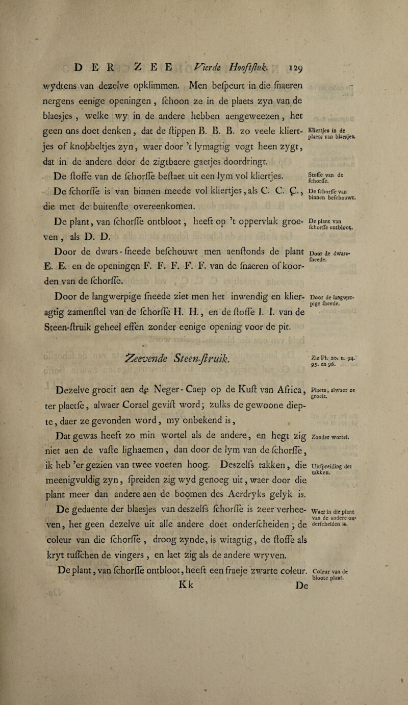 wyd.tens van dezelve opklimmen. Men befpeurt in die fhaereni V -1 nergens eenige openingen , fchoon ze in de plaets zyn van de \ blaesjes , welke wy in de andere hebben aengeweezen, het geen ons doet denken, dat de flippen B. B. B. zo veele kliert- Kliertjes in de 0 11 plaets van blaesjes. jes of knobbeltjes zyn, waer door ’t lymagtig vogt heen zygt, dat in de andere door de zigtbaere gaetjes doordringt. De floffe van de fchorflè beflaet uit een Jym vol kliertjes. de De fèhorflè is van binnen meede vol kliertjes, als C. C. Ç., De fchorflè van binnen befchouwt. die met de buitenfle overeenkomen. De plant, van fchorflè ontbloot, heeft op ’t oppervlak groe- Depiantvan * r r r o fchoriTe ontbloot» ven , als D. D. Door de dwars-fheede befchouwt men aenflonds de plant Door de dwars- fneede. E. E. en de openingpn F. F. F. F. F. van de fnaeren of koor¬ den van de fchorflè. Door de langwerpige fheede ziet men het inwendig en klier- Door de langweer-» pjge fneede» agtig zamenfiel van de fchorflè H. H., en de floffe I. I. van de Steen-flruik geheel effen zonder eenige opening voor de pit. Zeevende Steen-ft ruik. ZieP1- f *n- ^ J 95. en 90. Dezelve groeit aen dp Neger-Caep op de Kuft van Africa, Plaets, alwaer zc D groeit. ter plaetfè, alwaer Corael gevifl word ; zulks de gewoone diep¬ te , daer ze gevonden word, my onbekend is, Dat gewas heeft zo min wortel als de andere, en liegt zig Zonder wortel, niet aen de vafle lighaemen, dan door de lym van de fchorflè, ik heb ’er gezien van twee voeten hoog. Deszelfs takken, die IJitfpreiding der w takken. meenigvuldig zyn, fpreiden zig wyd genoeg uit, waer door die plant meer dan andere aen de boomen des Aerdryks gelyk is. De gedaente der blaesjes van deszelfs fchorflè is zeer verhee- waarin die piant , _ van de andere on» ven, hetgeen dezelve uit alle andere doet onderfèheiden ; de derfcheiden ». coleur van die fchorflè , droog zynde, is witagtig, de floffe als kryt tuflchen de vingers, en laet zig als de andere wry ven. De plant, van fchorflè ontbloot, heeft een fraeje zwarte coleur. Colenr van de bloote plaat, Kk De