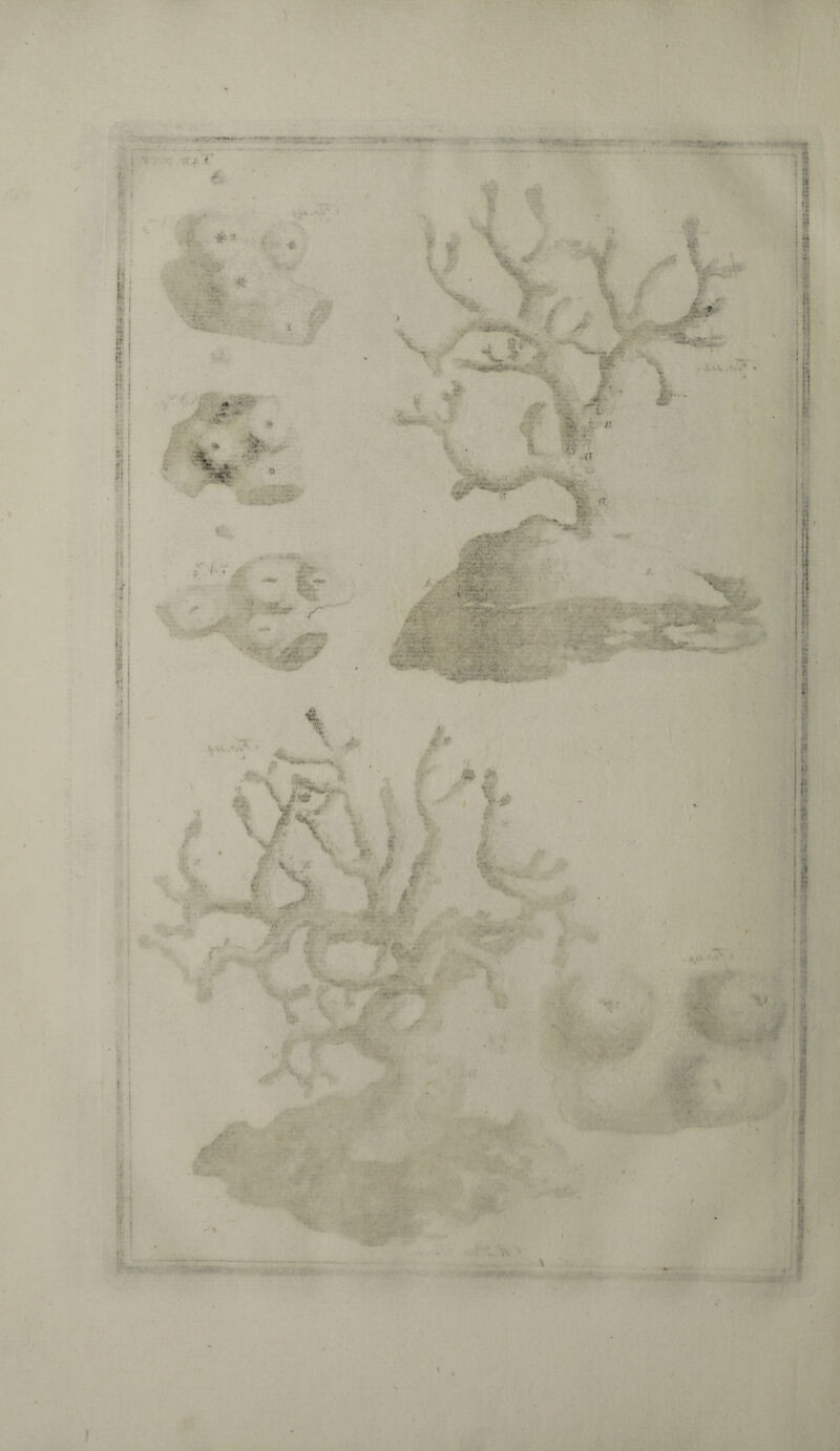 l: : •fi ■ 1: h ! ï' t !i Î ;»■ ! 6* ! J I 8 i rt a ! Ii i Li f: K I J ? $ : ' « zy: '-rr - t i Sa- •- - ■ * V- • - V — V - 'V;' , .# V ' * ? *V, *• : ... »•<* 4 _ -■? ’■«**»&*■* ' ■- à •• —X S*' *, X 4 . :- ■ a,-'. I . l.V\ . ' - •% b - 5*$ V *\ V r <Vrf « ... T*i - rciu; ■ V T , tÉflik éfm ér X ■ .♦. •.ve rs11**» ‘.«Ai • ' ' *4 ' •r; . <T *V Z'.r «V' -wr •>•#.•** ' ••• - fw* /•*■• '**'• «V .x.-i - ' siÿjgg' • • ■ ■ .• .:- • ■*&- ' » > • • \ -Z:~ ....... .. * * - -•• -—• *• »... _ ■ •>» /■”* : ■. . •• » .■ƒ? . . ■ .my « •' • ■' ' Cv>;, ■' ' V •■ :v’ • V fr- j . tyj . o • •< •< ■ «4.. - * . ..... ” ii33P V ' ••••.. . — 4*1.. V* . V- . -s 4L- M M* \ /3^-'• ■«. -X ■ ■*^v **,f ï«t Vv- A t < y ;< - - • . ' : # •••■' # , V i f’V'- ' ^;;v: X i *i • t. .. Af t. ■ '** .»• -i Tl, V' i P< ,■ ^ i i i V lì: ' A\x 1 ! î i |i !Ì fi M ìf IH « ■r*. ■ • W