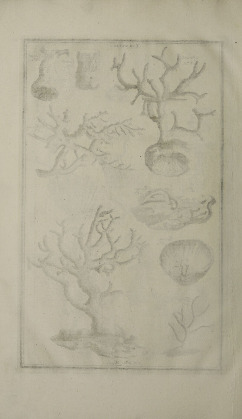 / V • Ti ■ ' --■au 4-r • ; / / z.ii.' T • - V ^ . . *- /#■'/* i. • i •. • ' 1 'ifï : V. A. .*VV>* ■ ■ ƒ , ■ V..'- «* * • 'dl, , 0 . V »5» ft» 4 i ' ü~ .. i ■ \ V ) %. •r.w> /< *• ft- # A: -■. * , < i; /V- . - -r • / ( r im;. '' .. '•*: ' i I * /