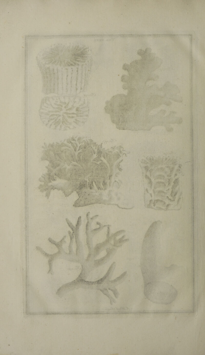 ft' ' '5j • •. '•■V -* ■ - ót\ - ^Vv ' .*>/• ,<* ■ <* % . f V / I 4 H'. ' > :,? :s. 5 ■• * * a Vi. 'i ' ■■ ;»' .1 • V : 1 Jhi • : v - :'j. ; ', ! . ; ( >: i f f i*9k sf^'C-LS .. « V i ^ - « -x. - •’•/, / ' .; v • a v.. •v. ’ ... * ff .. • : ' •:■ .? • v ■ i- , - t ■,■■■, - « / •’ . . , ••• ' . ' 'v ■ « */•»«• V ■» : . '• , - - • ' Y. «' ... . : ■ . •V. / 6- jftV , ■ » . '1* ->•/ . ■r' '.V ÿf * * S ■t-'r-. .. ,v,’ . ' ':'-V.4 V ' ■ : . . : - ■ • f, 4 •; . A ■ *. . . . .., •-* v . ■ * ; ••” » • <■'£ v .J 'Tv ‘ V-• . '1: v '* . V' ; ■Zr r r . - V.’ . 2 >■ ïnr. ; .* / I .0 ■ , Tx. • ■ V' • • r , IT «;.x f- -.ï*r •• * Jr: ■ % «.»» ' T ■ : r w.. ,w(<r. ; •! . . ;v :» i AH ■ f, \ f-, $. . .. ' i y •f-: t: i v ' '*• ,r V # . f f/ . A.i. K ■ ' * J ^ ■■ Jr? ' ■ 7;; F » ‘I y I