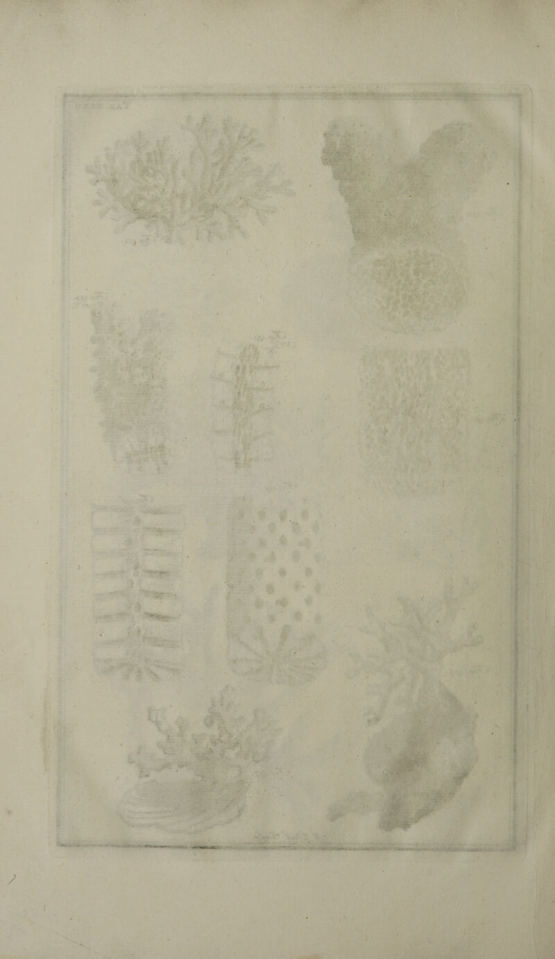 * - - ■ » ' 4 .. • • •• •* •. *5 ' < » ? A’ •• v -, * ï ’  . - ... i,- ; ; V' . ? 1 ' i ' ' ■' : - ■ ’ * - v- •;r . ■; • ' '■ • ■ fi”* ' , X i X * ' î/* I / • i : . - ■ - 1 - ■ • ■ - '  J' ' * • ' * ■ />