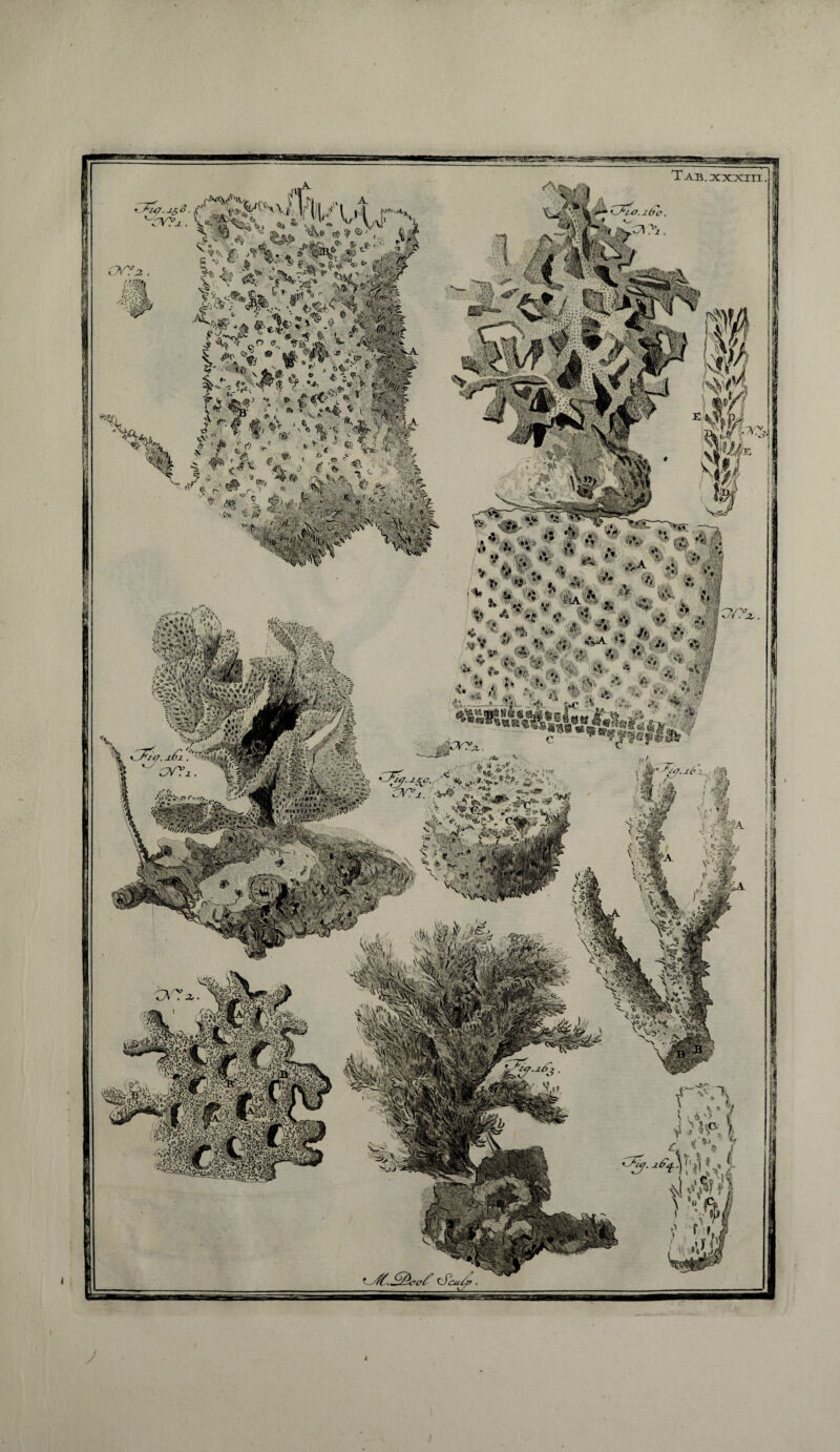 ' u*v' « ÌSìtèk: