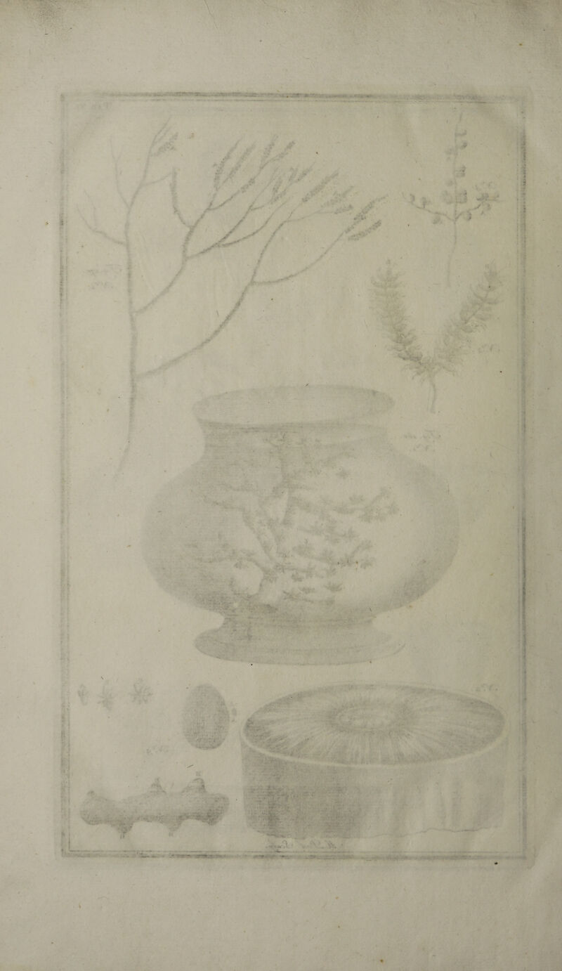 _ I' U : ■ ■ •- • -nr--r. ae . .mtr* y- ■ . ... *. .<• M * «i* ! ? '■ ■ .« • *. . - V '■J ■ ... ■ s ... j 1 \ \ v ■ * • i . ' ■ - . * ... ..... > V S-- ■ ; ; i ? i.-' ' . V » . ■ ' 3 ; . ■ » I ■ * . *v»t - .. 'ri i. ■ . ; . . ■ • . : . . . ' •> ■ .*•; -, *- c ' V .t ■ ■ - . f i ■ r'-- V r ;1 fai 1 •! i« rva ■ •: J i t 'J -, • » i- • ! . . - ' 4 • '”*% / T’V *\ ■ ■ - / ,* • ' • * -, '•.. ■’ '. ■ Ì.$Wkì - ? ; t *; ' r W r). • . • ■' • •» i fir • ■: H. . r,i.i ' ' 'JvX '■h .-iw.if. .» •• - v- ~ - ■ V- jl' • 1 ' • !