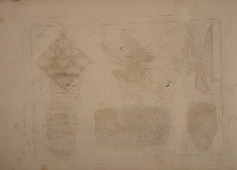 ^3- •v> » « » ■«' > ' • ' fr 4 • . ■ /i • ♦ 15 » ' ■ ■1 <• • J* r V ► v - . * f >v. 4 ' Y* I . ^ I' w * ■ ,(► S r‘ . * ~ • • . •. V , : - / . t-t ■■ V. .- %