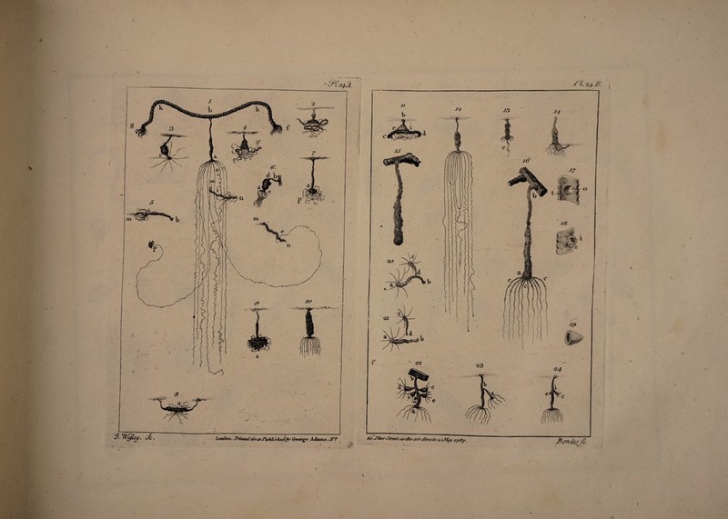 London. /or.SeGecn-'go AA&mjs ,jyp £J. ‘Wylty. c/c. J^L ?4.B. -Bomfej /c.