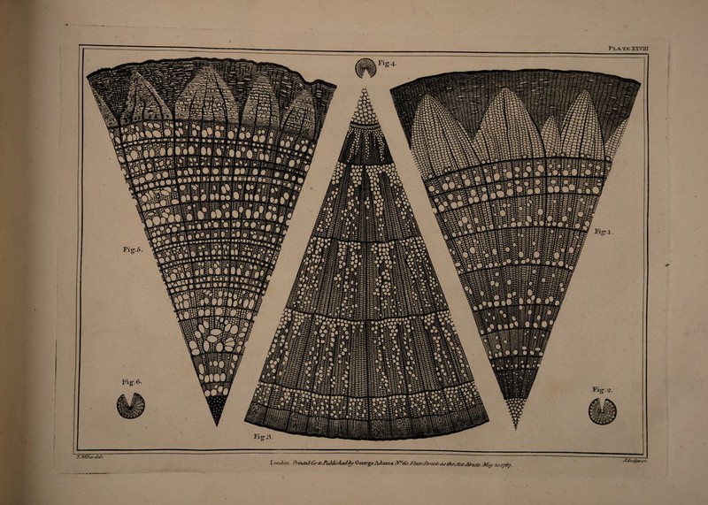 -9 T.teZaesdel'. London Pristied firS?- FuMts/ied&y George Adam s 2\L°6b. Ffee&jbeet. as tti&stco direct. Mav ■20.1787. Y\
