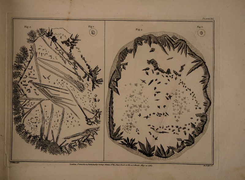 J* J<AT£ XXX. London J‘ri/<teltor.t:J'uM^/u*l6y Geoa-g-e Adams AT°6o. FloeoStroeb aj-tde- actdavcAr, May u> 27$7 % > j-o.