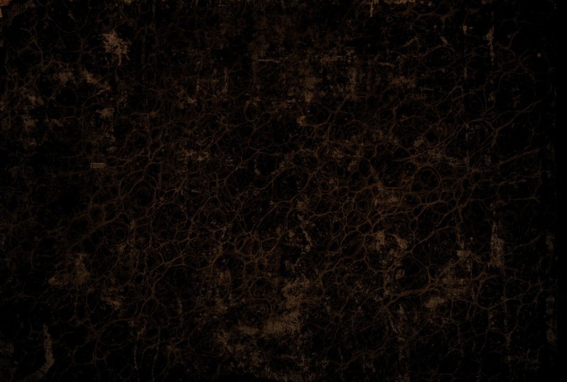 -4*.' .-..AiU ' «v -.': if- tfj. ‘ ■' *,