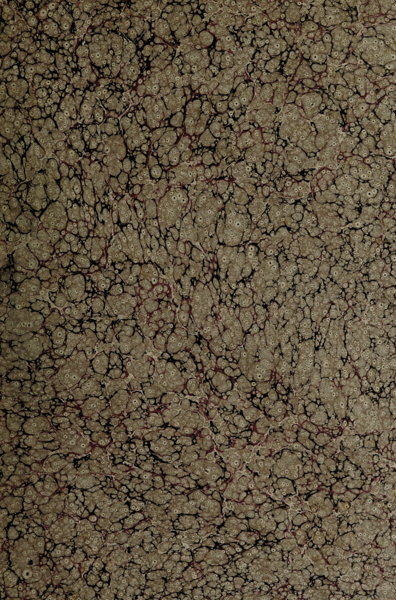 i?y *'/ vX;-i TTijf •*? y ■ *‘ t\JL_ -•‘,-1 JlJ. - 'yA ir y k ’ , . ALV': IjV^T^jW • ' '•.-.;,' * v. • . - : ■ '-j ' v^v ivii'