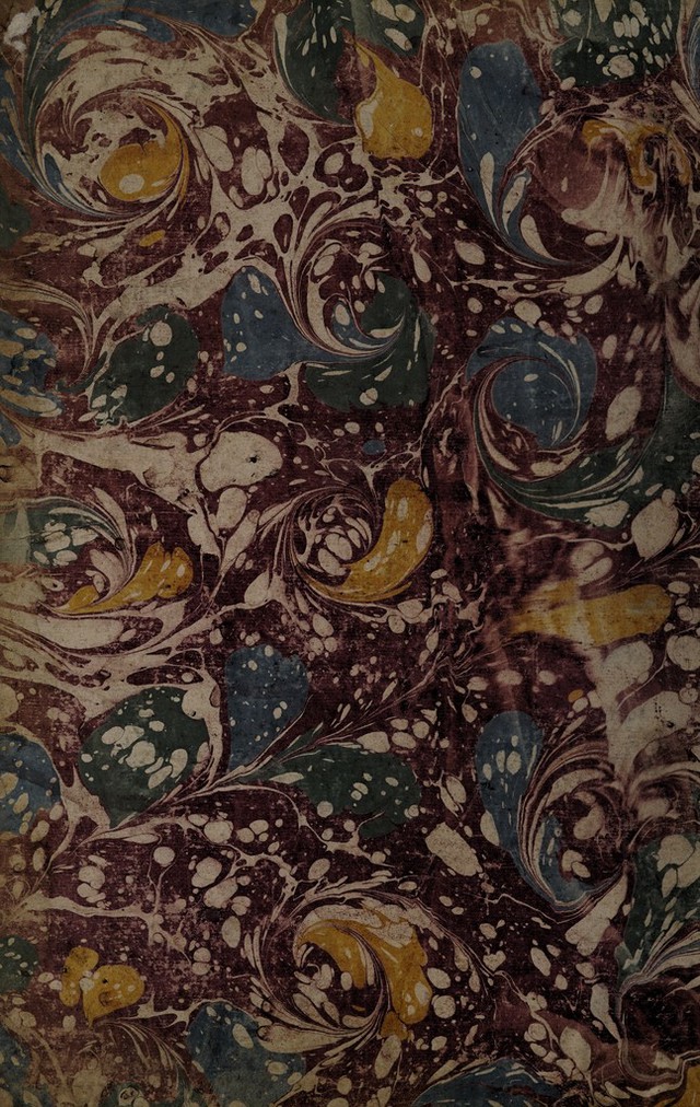 No text description is available for this image